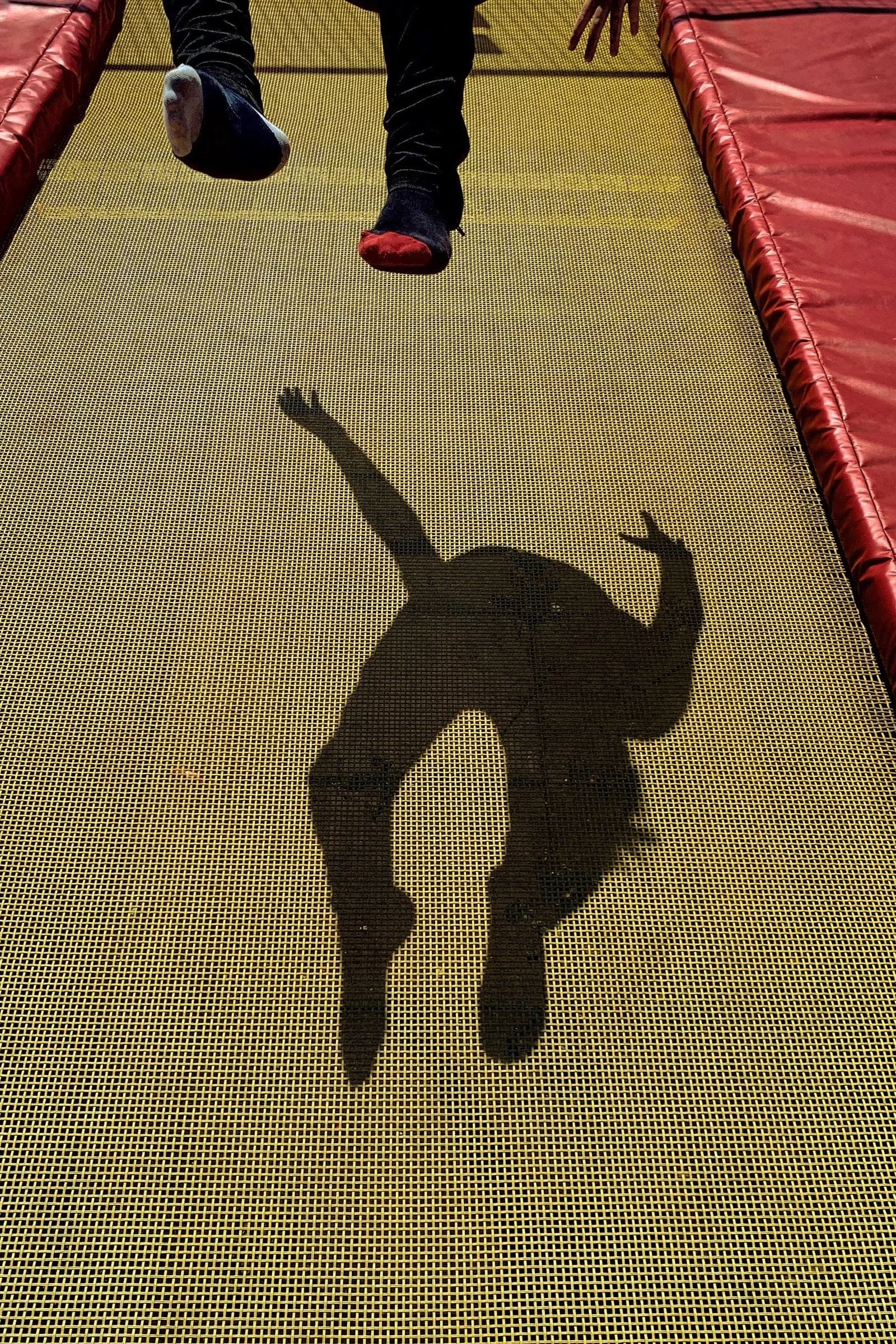 IMG_2878.jpg