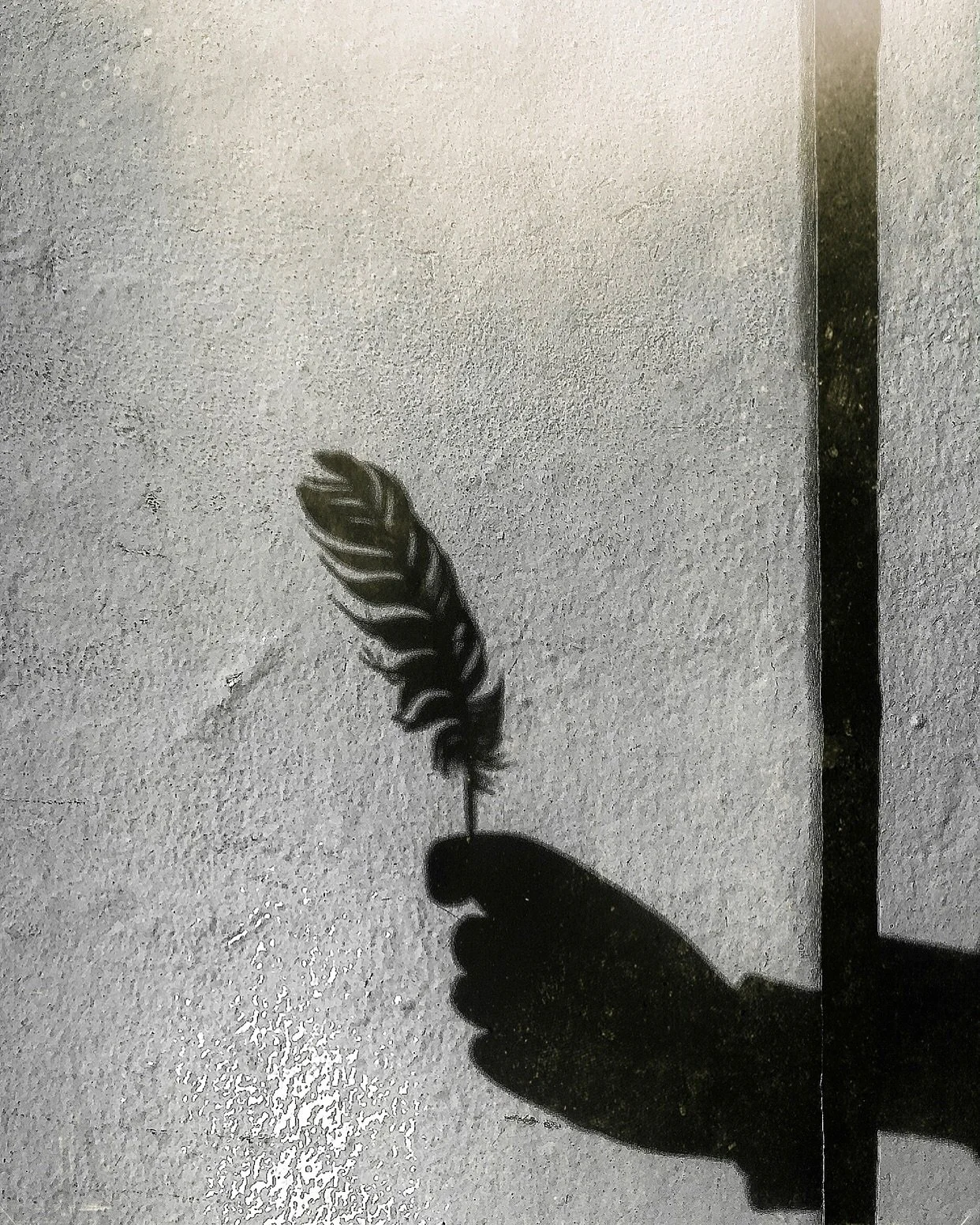 0EAC95FF-874E-41E0-BF83-1540F7E25170_1_102_o.jpeg