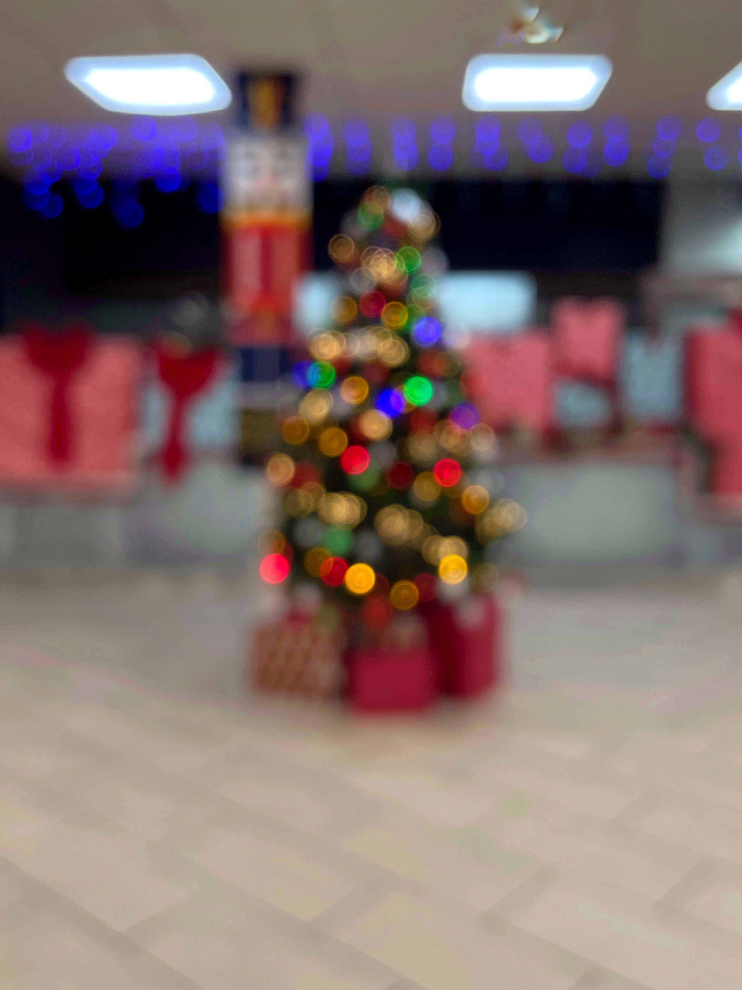 IMG_4569.JPEG