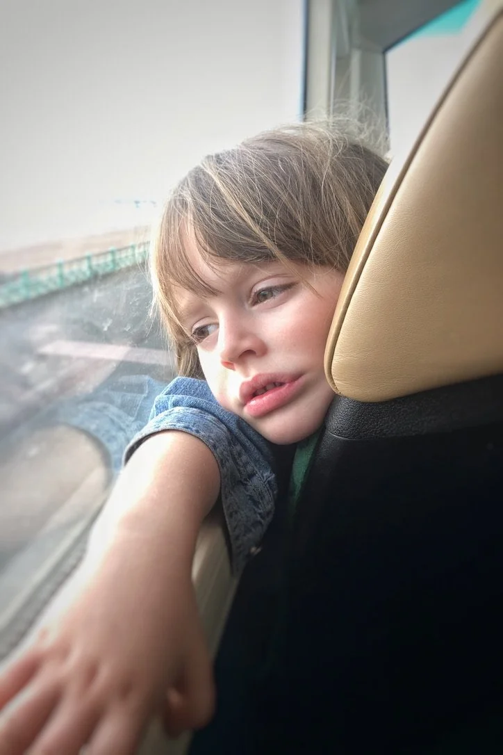 767FCE93-FBB9-42E5-A34D-AAFD497E76E6_1_105_c.jpeg