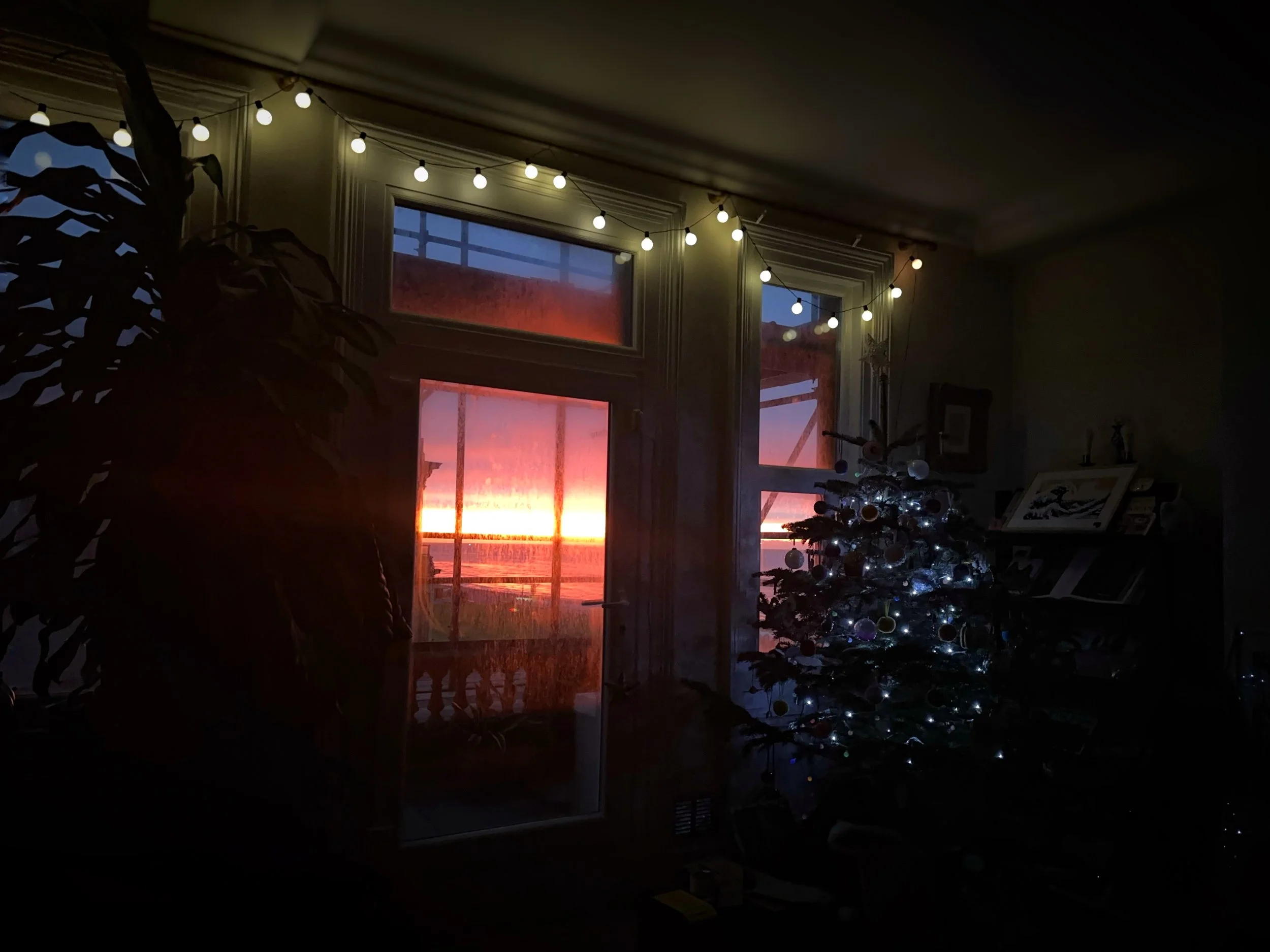 IMG_8311.JPEG
