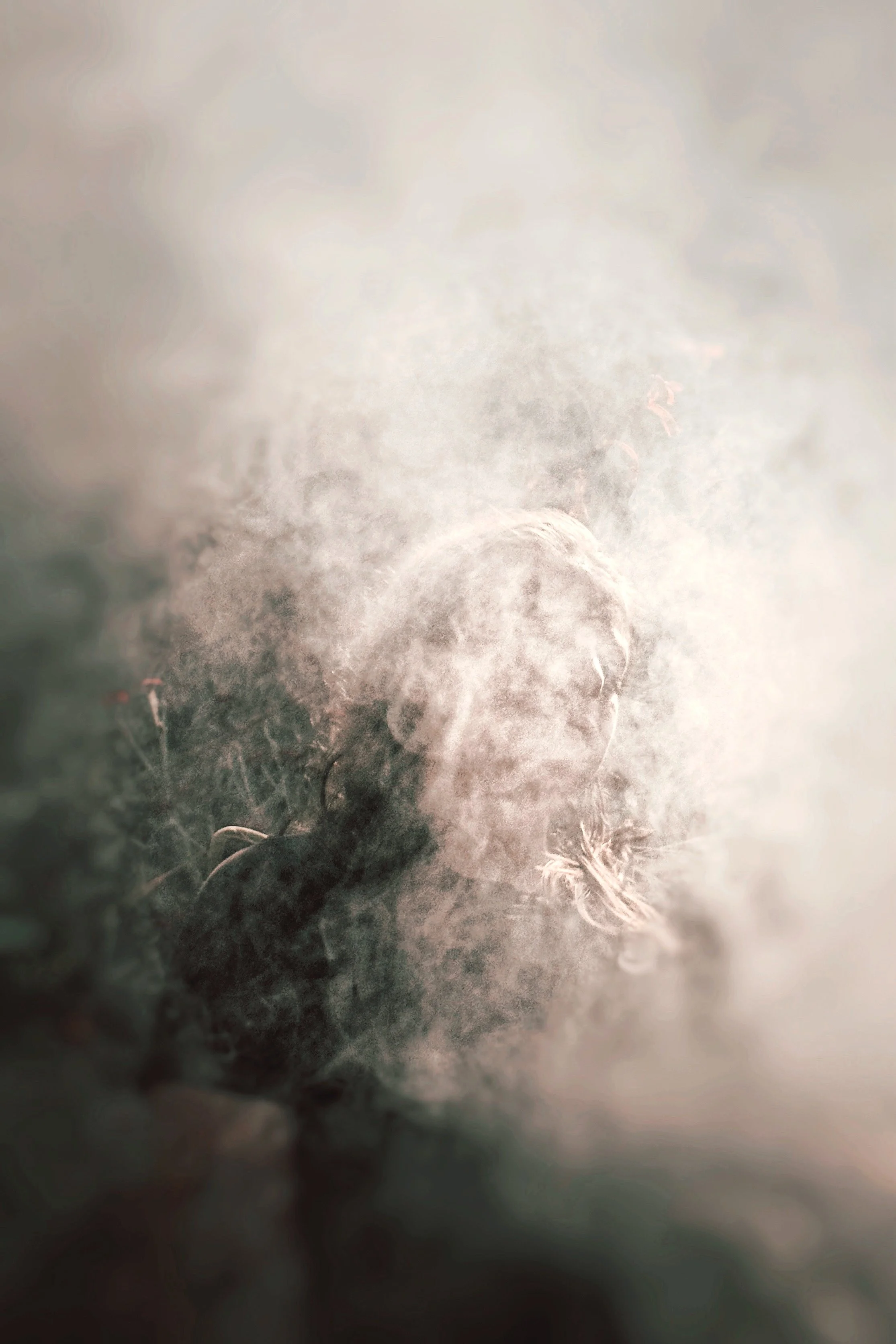 AfterlightImage-6.JPEG