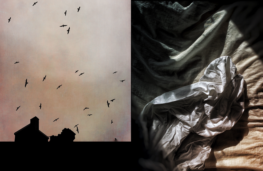 DIPTIC.png