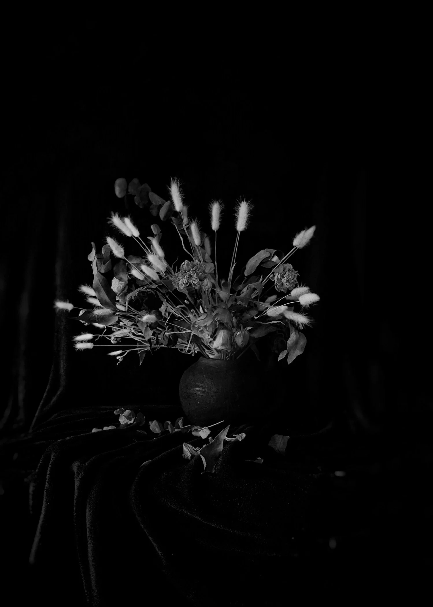 D40BB4EB-8B91-482C-8635-112FCD149209_1_102_o.jpeg