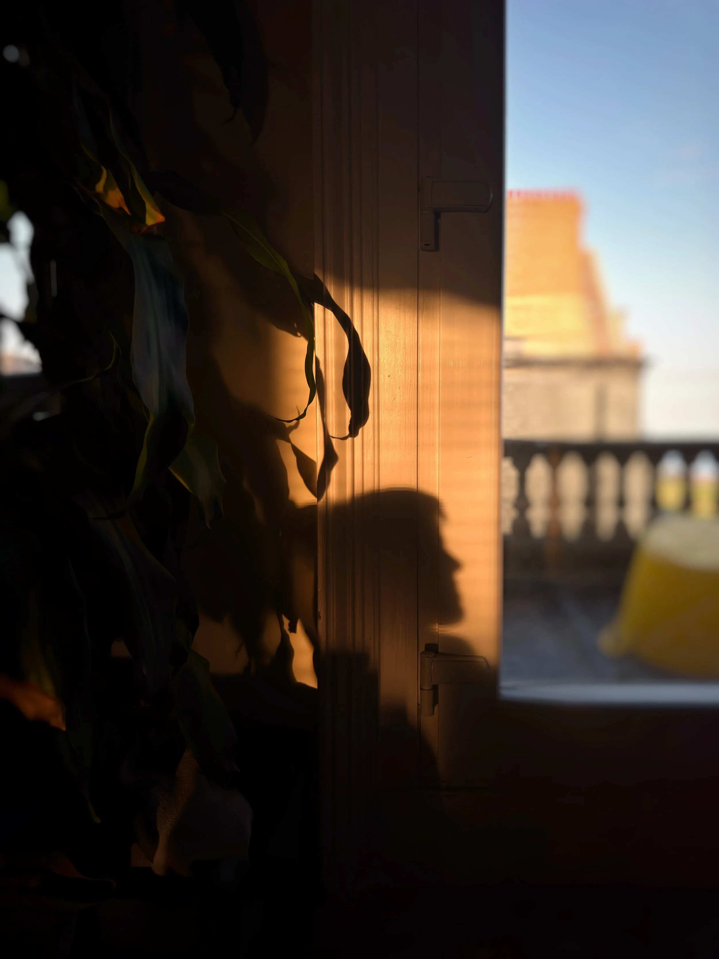 IMG_1441.jpeg