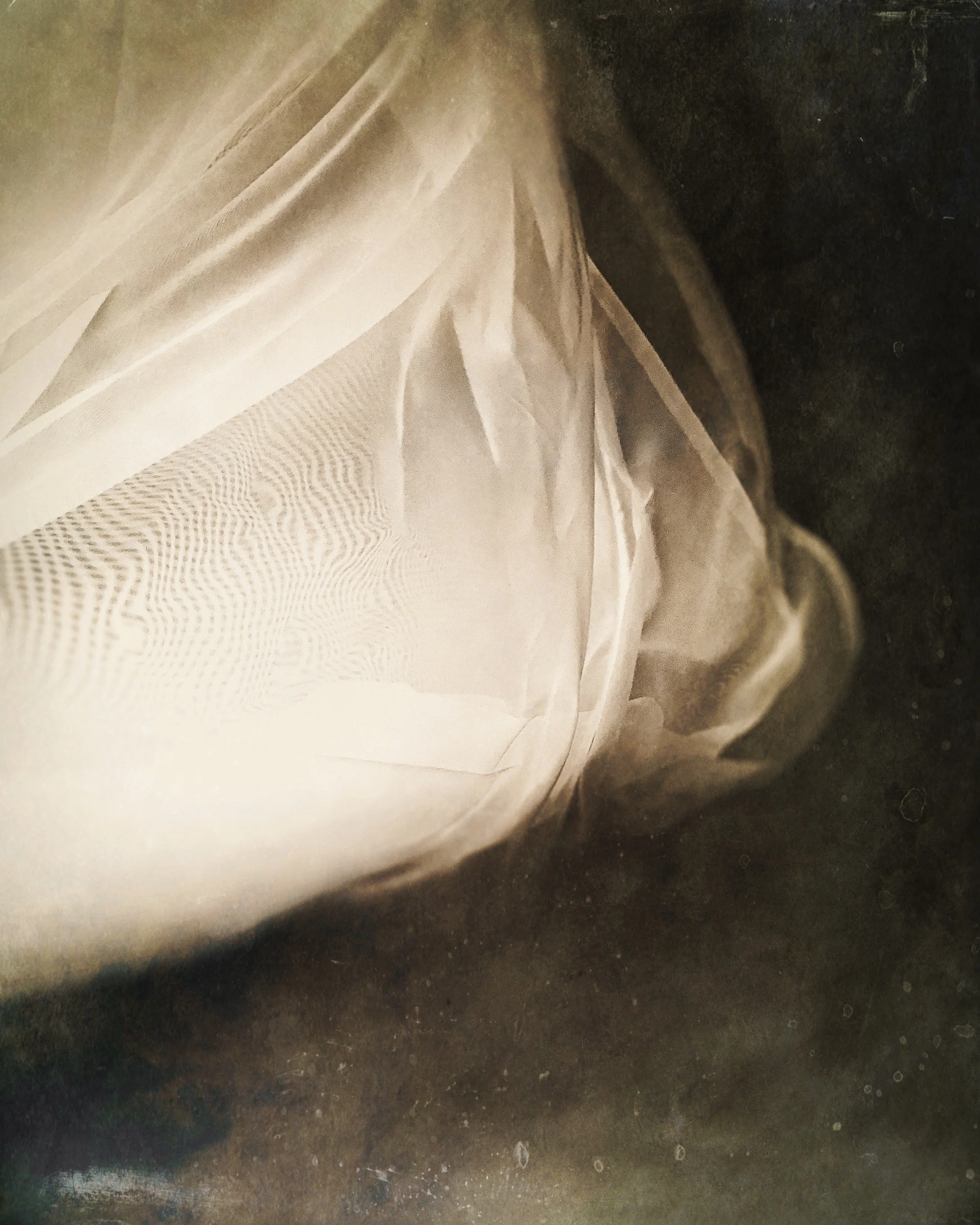 MOTION