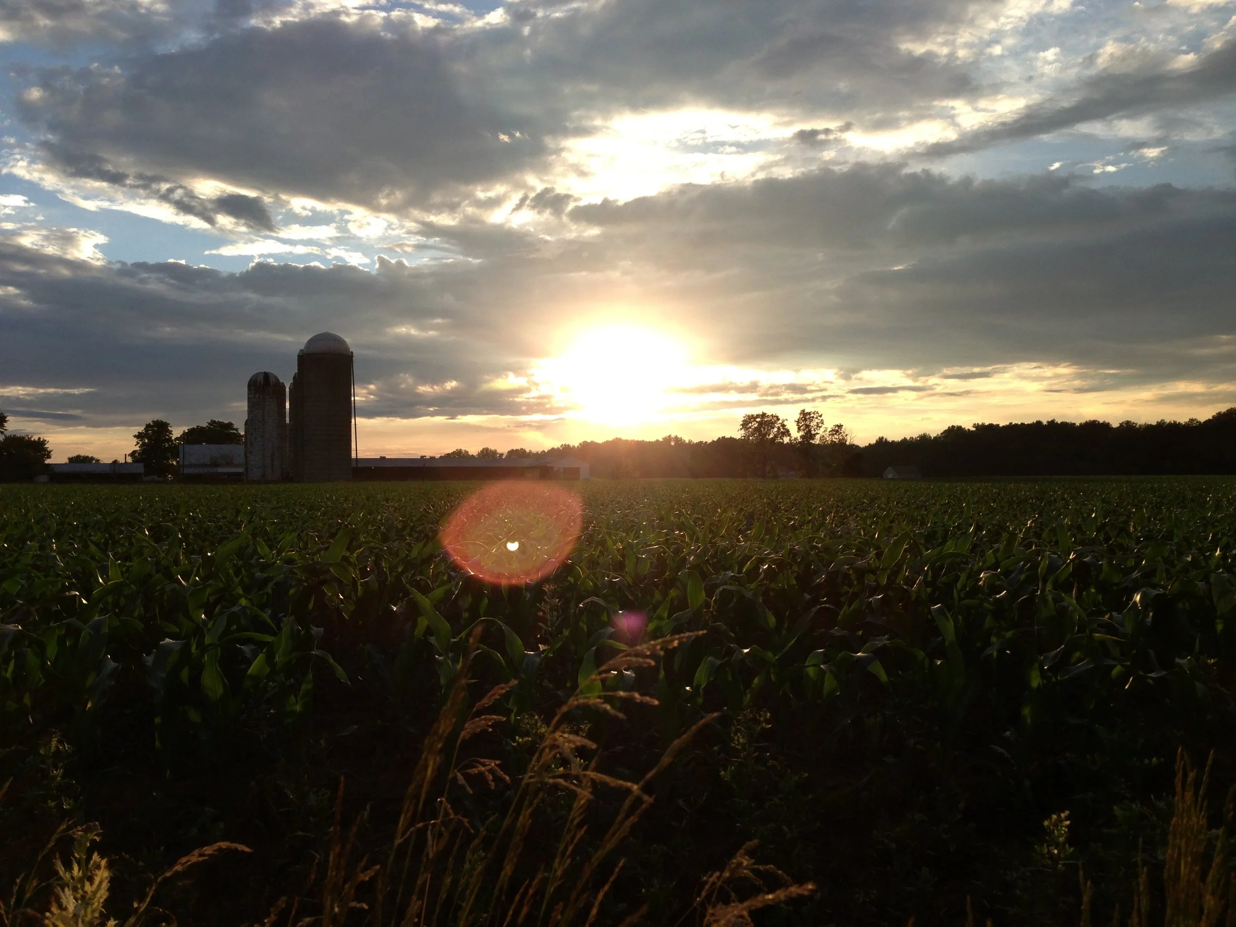 Farm