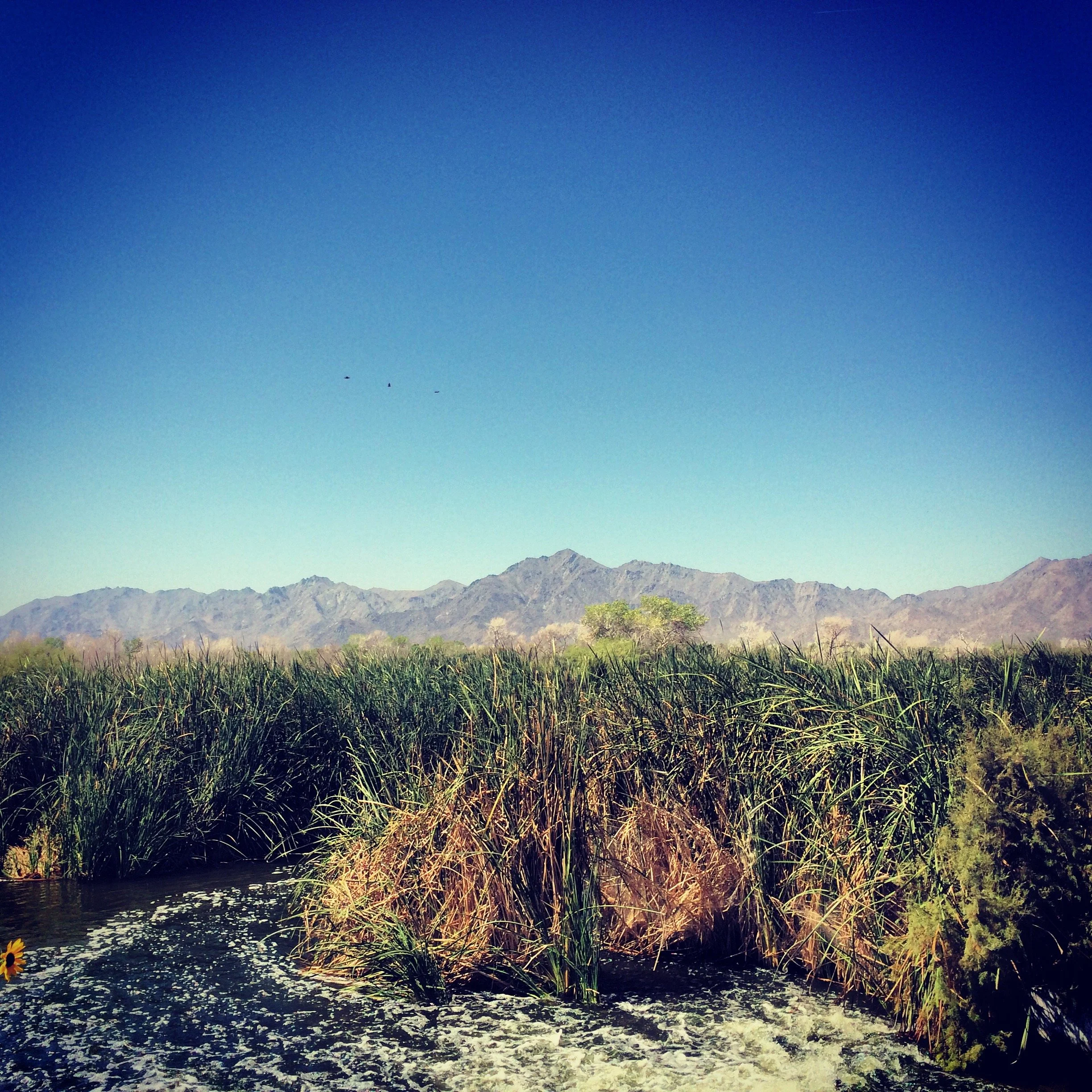 Byproduct of wastewater in AZ