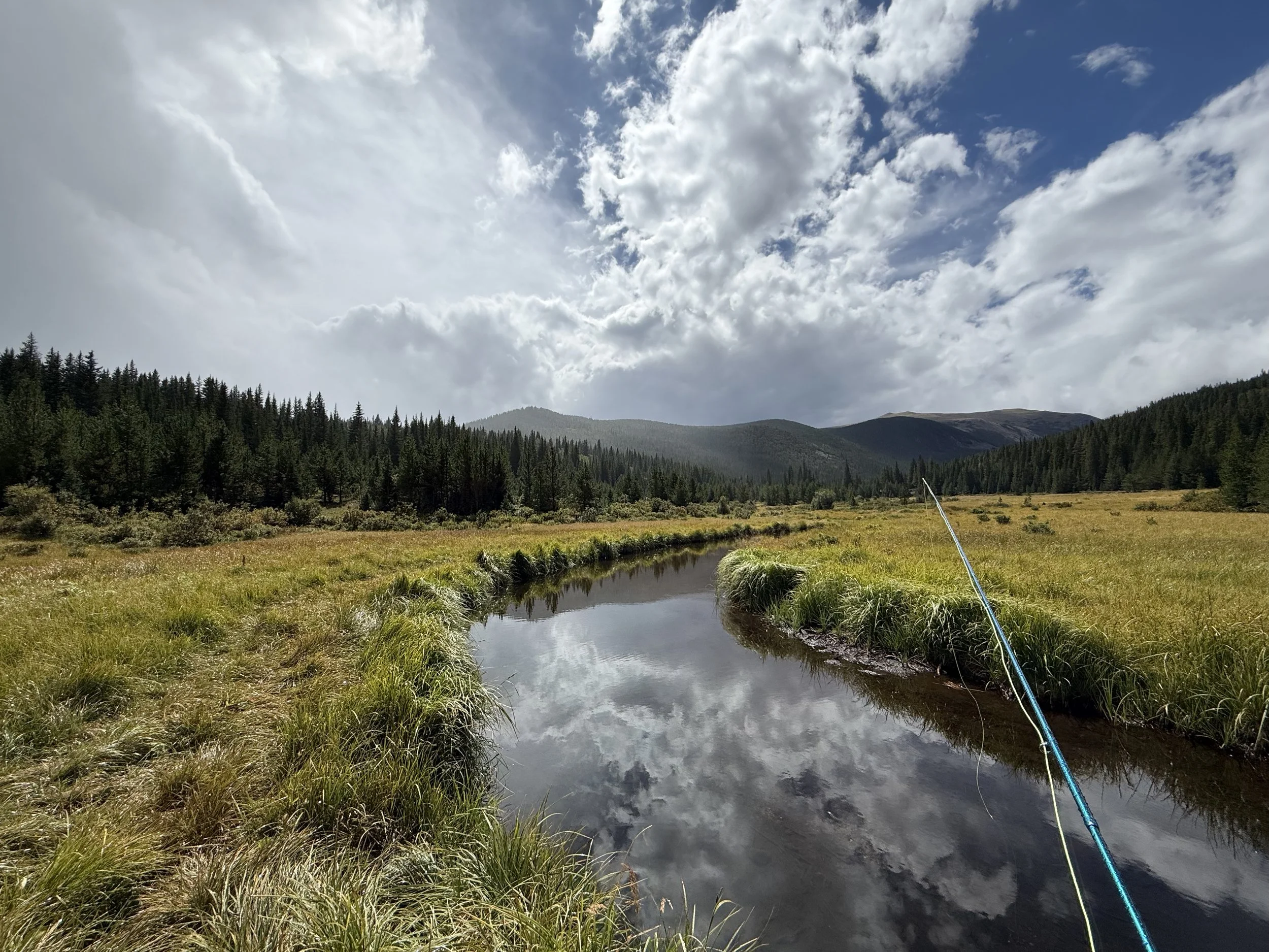 Trout were small, but the views...