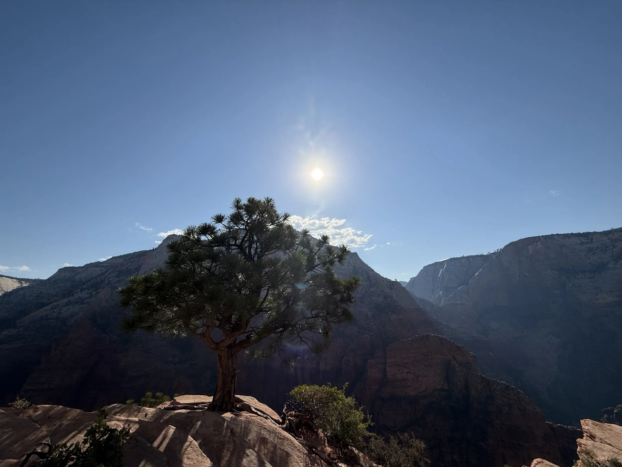 Above Angels Landing 