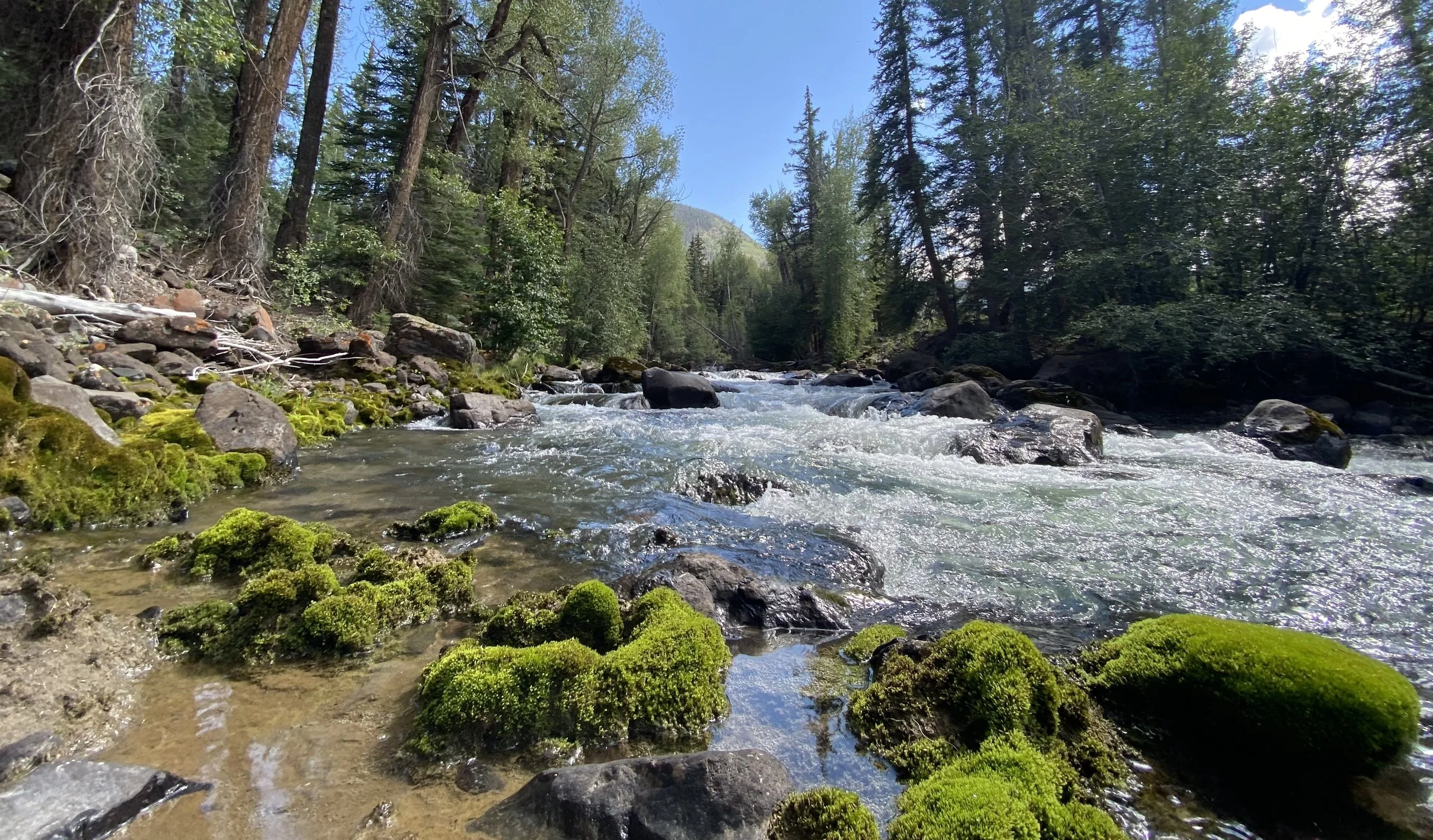 fly fishing