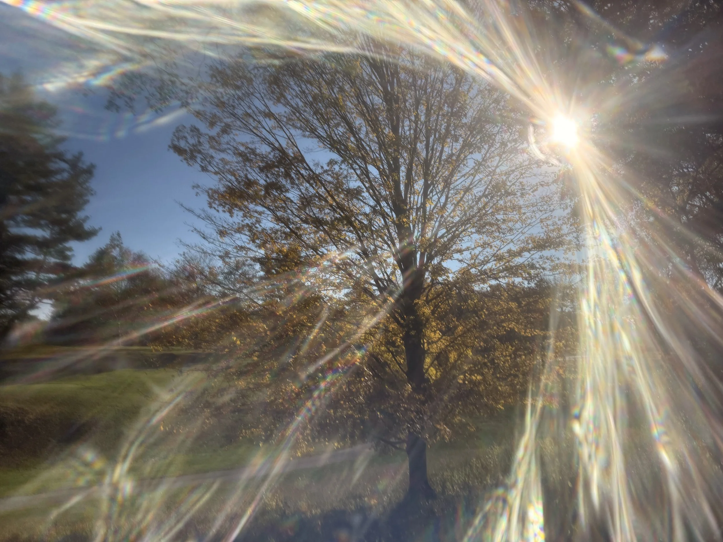Camera lens broke.. picture actually looks cooler than it would have, i think, i don't know. 