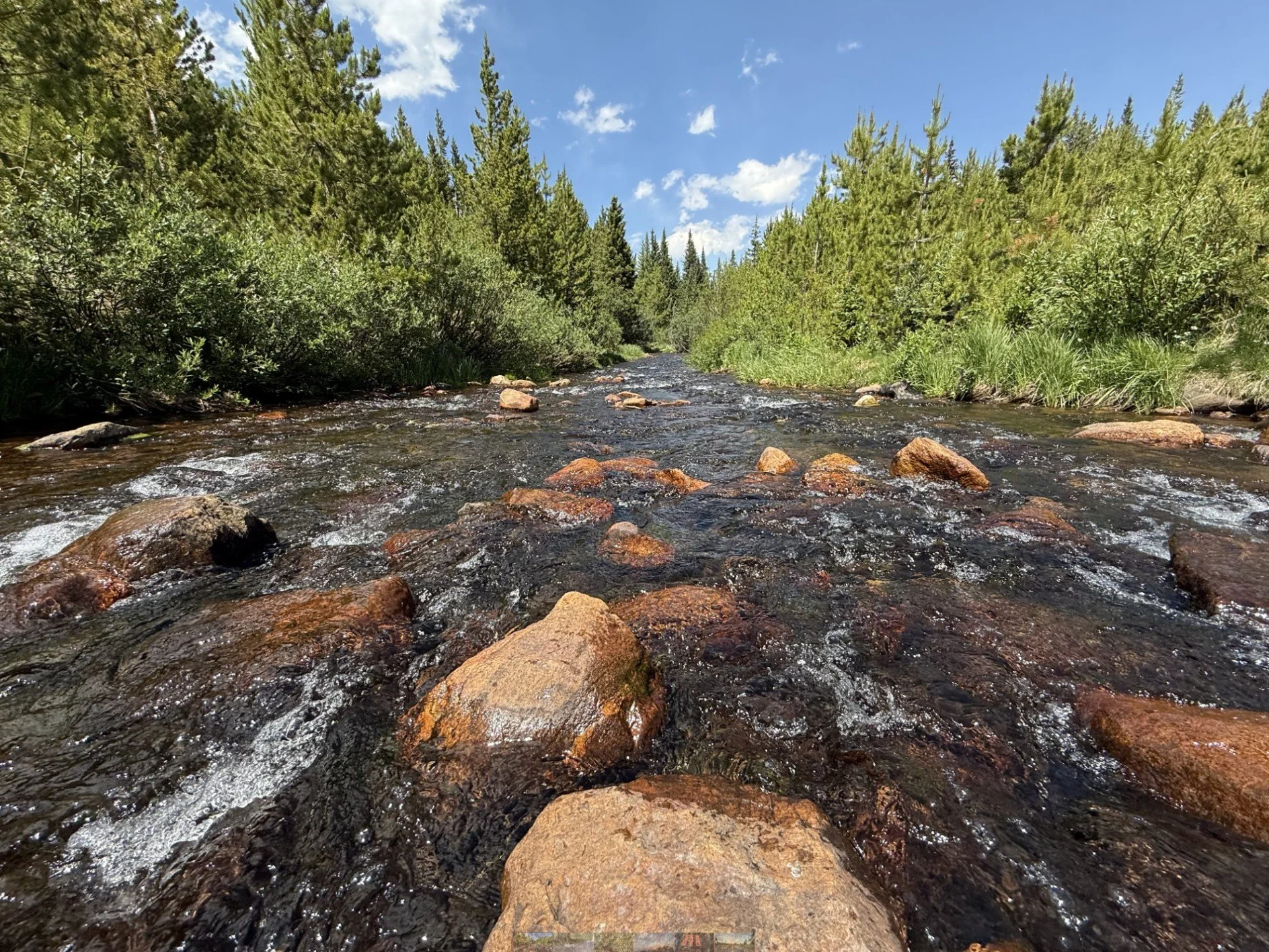Cold, clean water