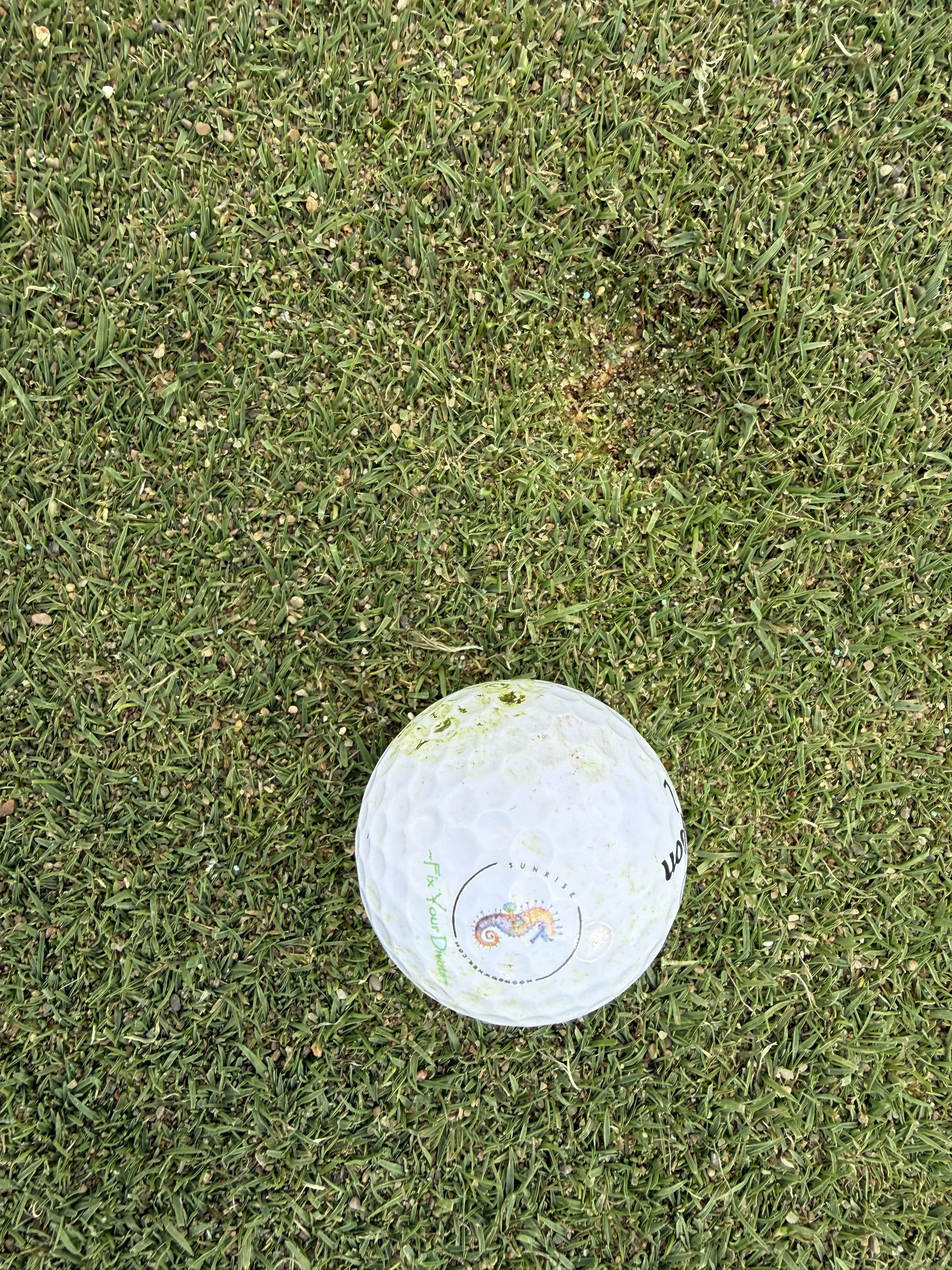 Fix Your Divots