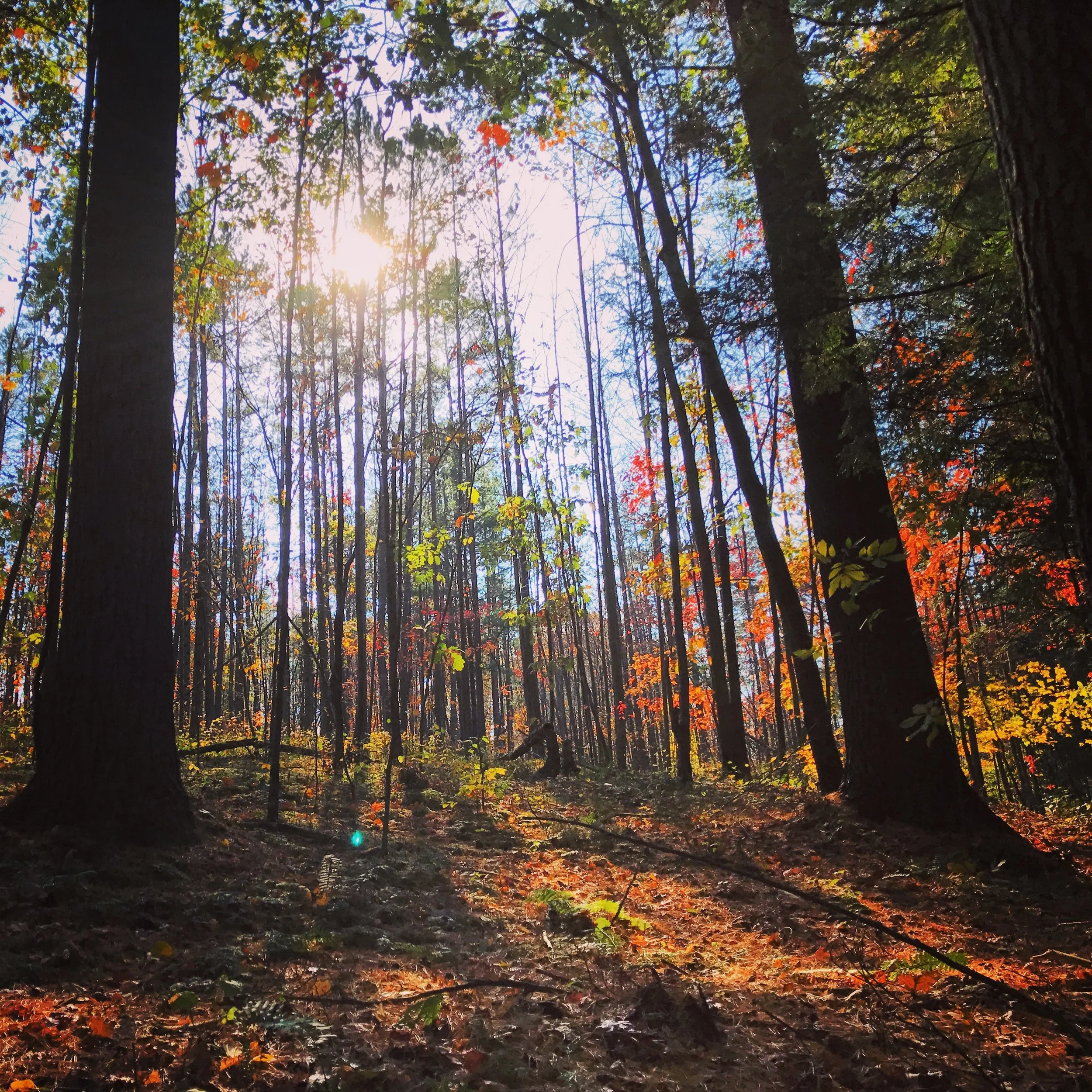 Hiking
