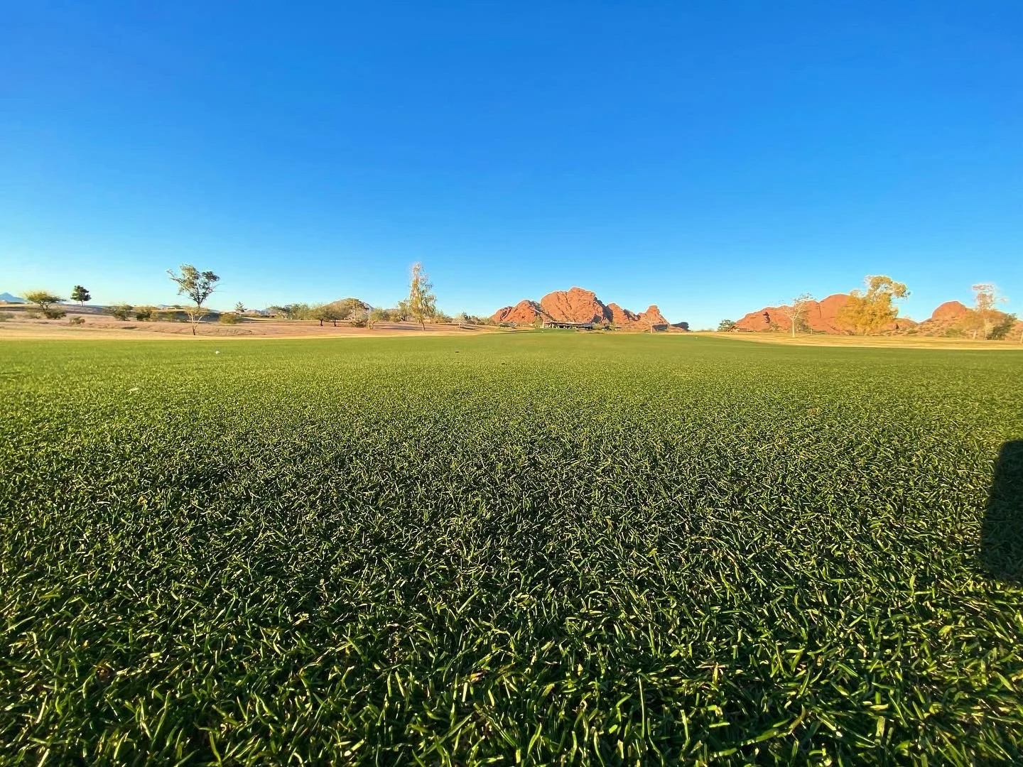 Papago 