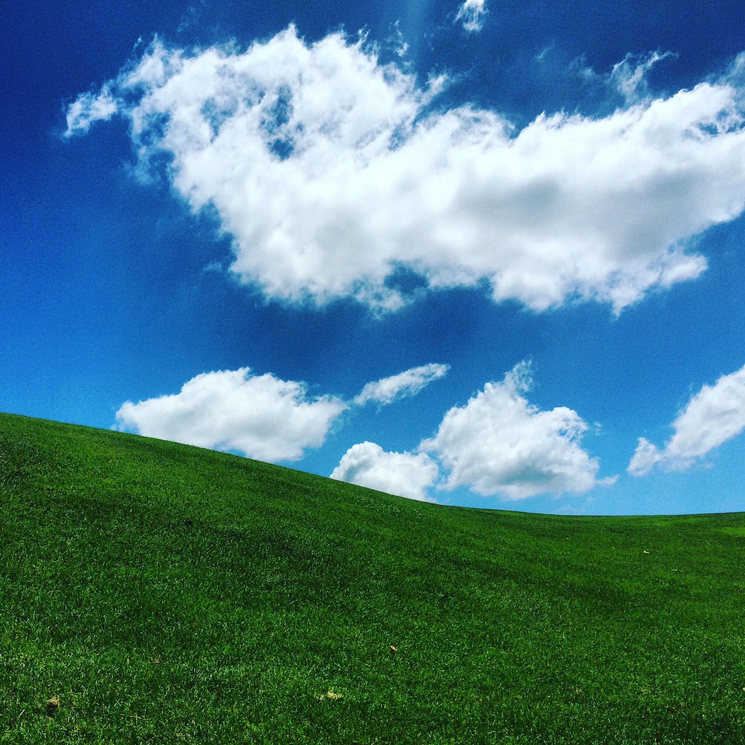 Windows Screen Saver - Ohio Golf Course lol