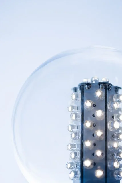 En glödlampa med LED-lampor på insidan.