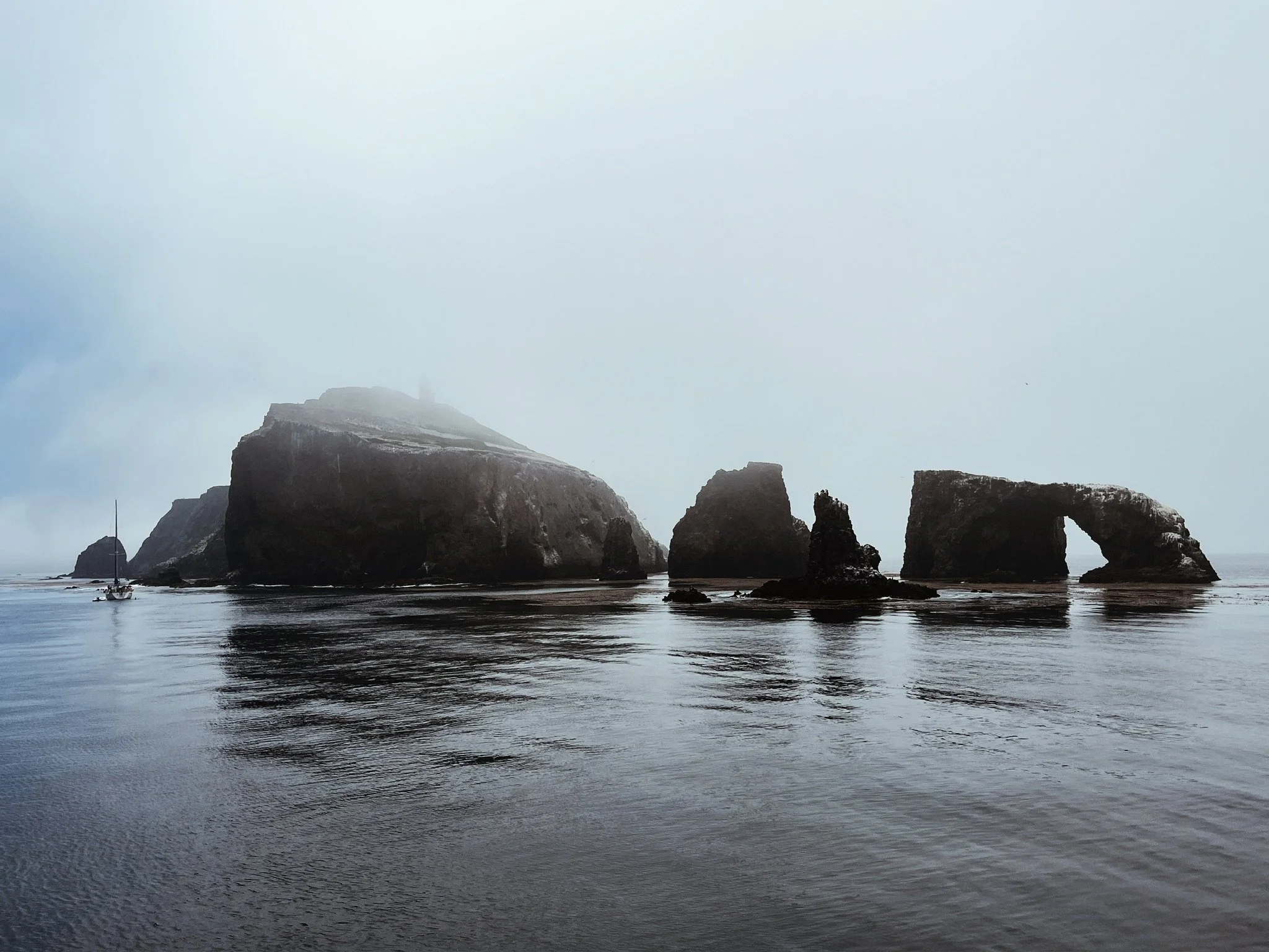 Photo by Cameron Weas