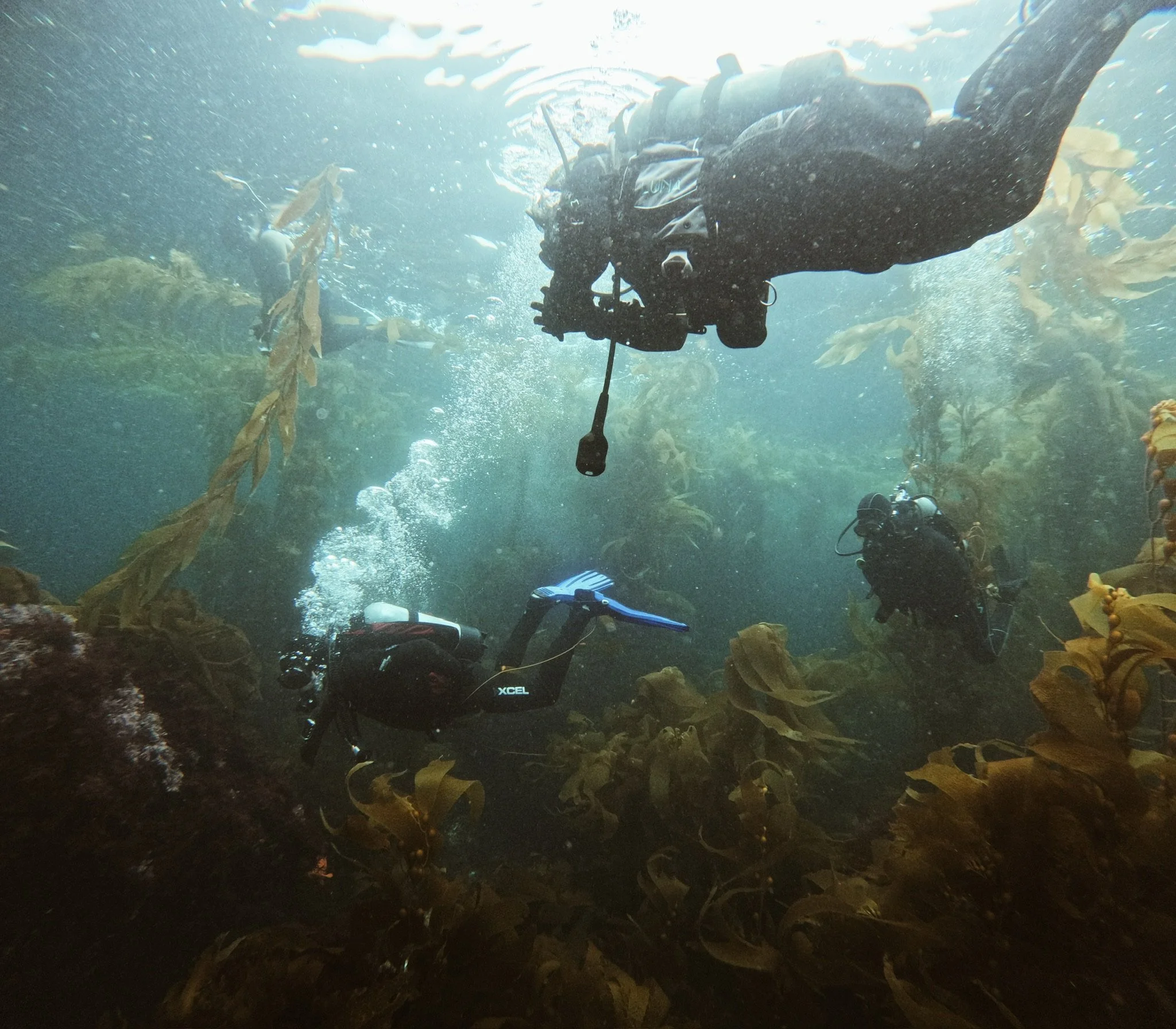 Photo by Cameron Weas