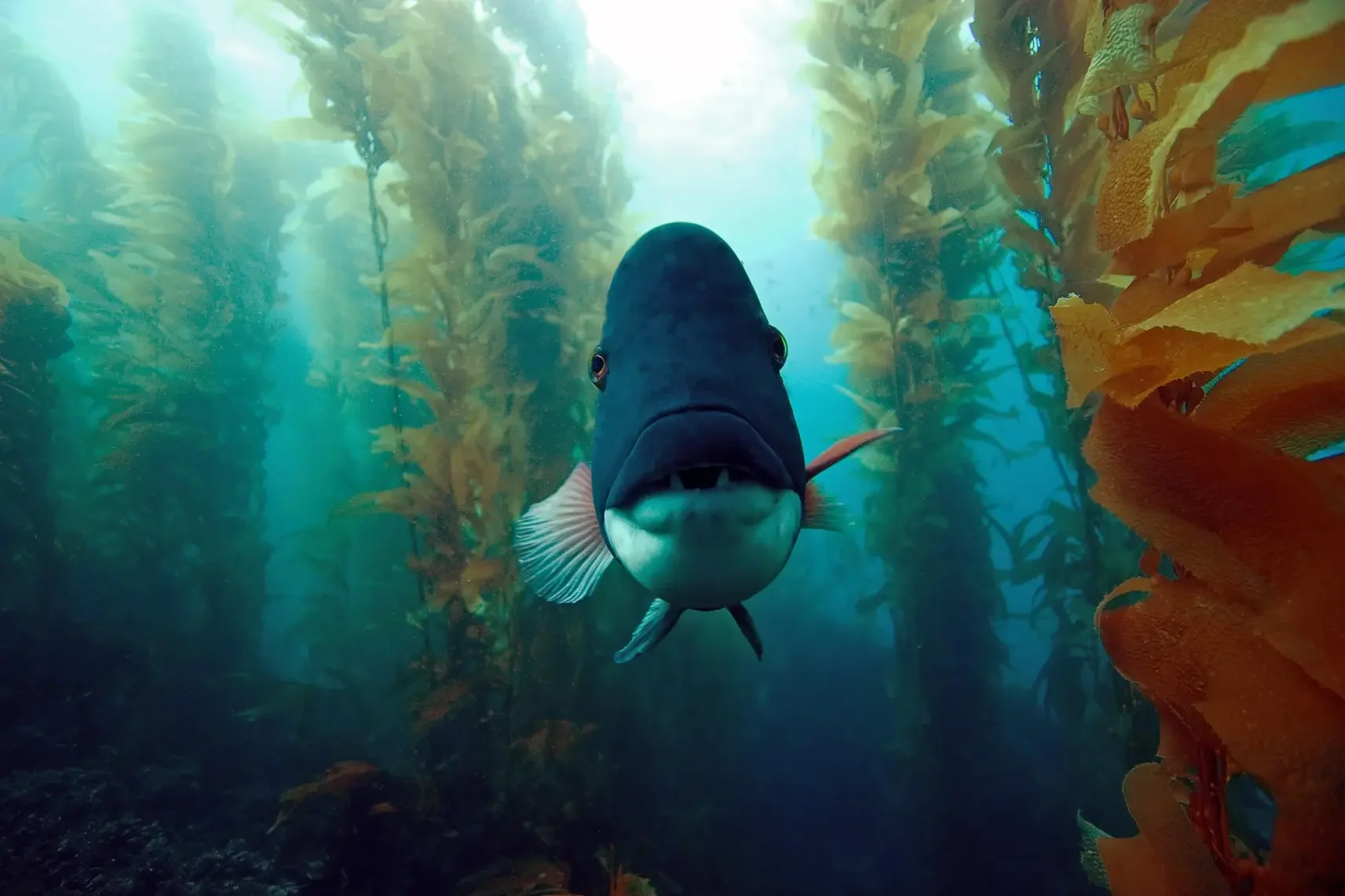 Photo by Douglas Klug