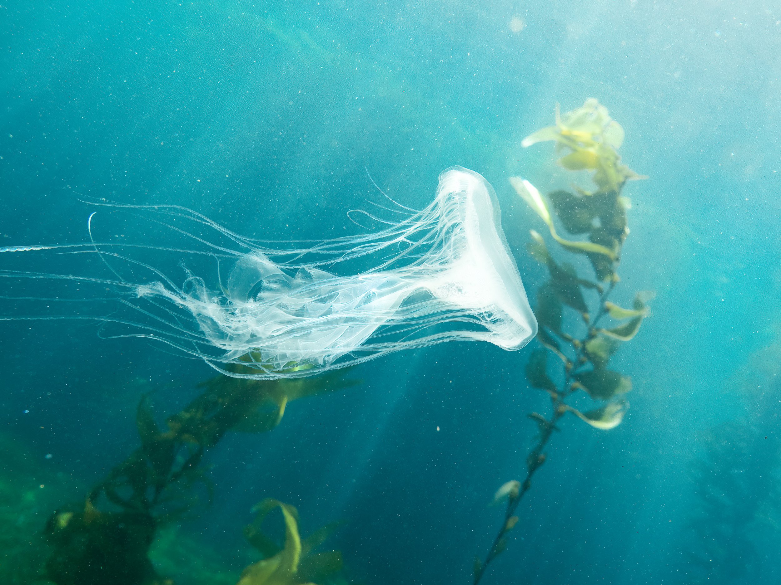 Photo by Henry Cooper