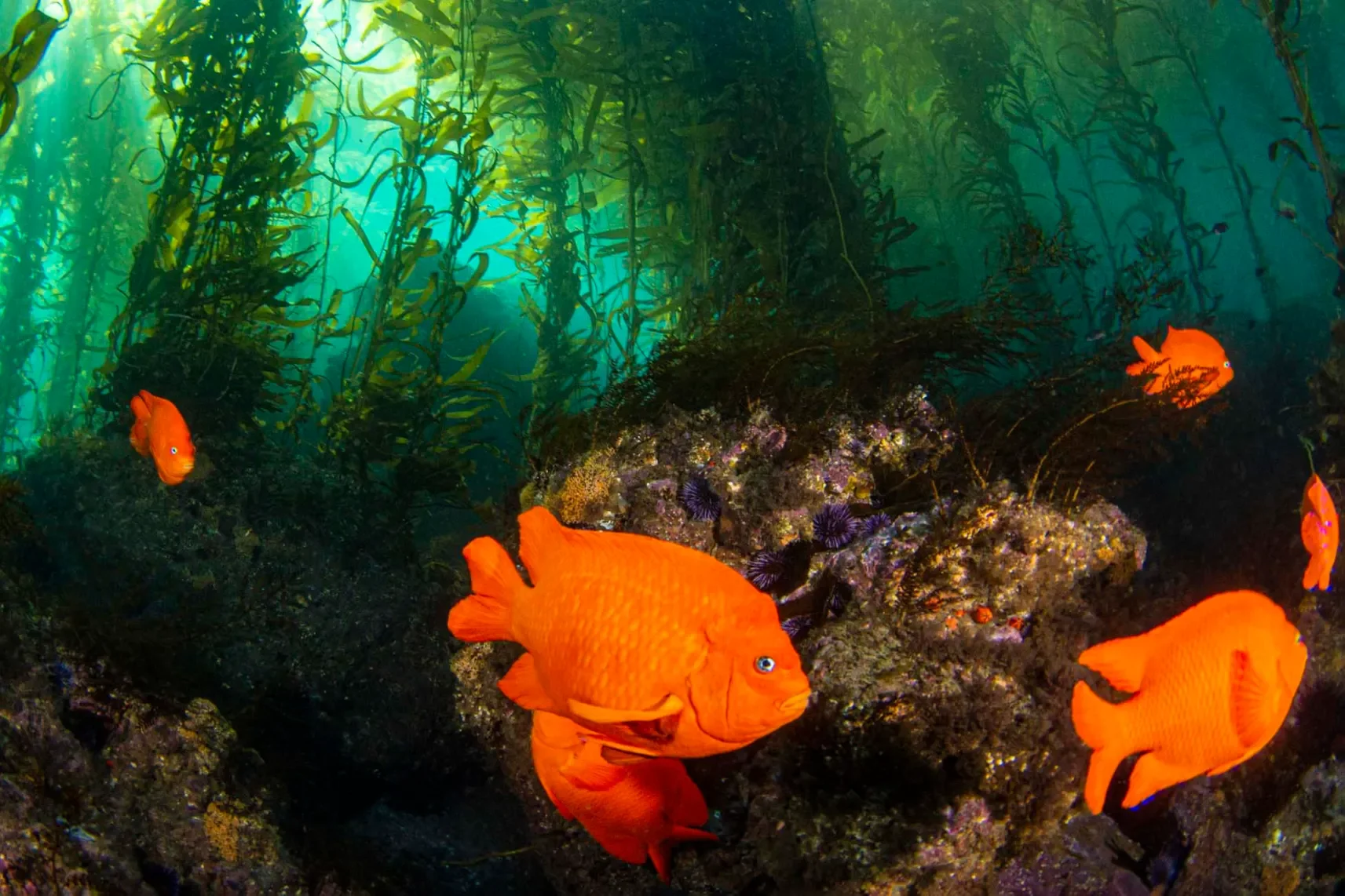 Photo by Douglas Klug