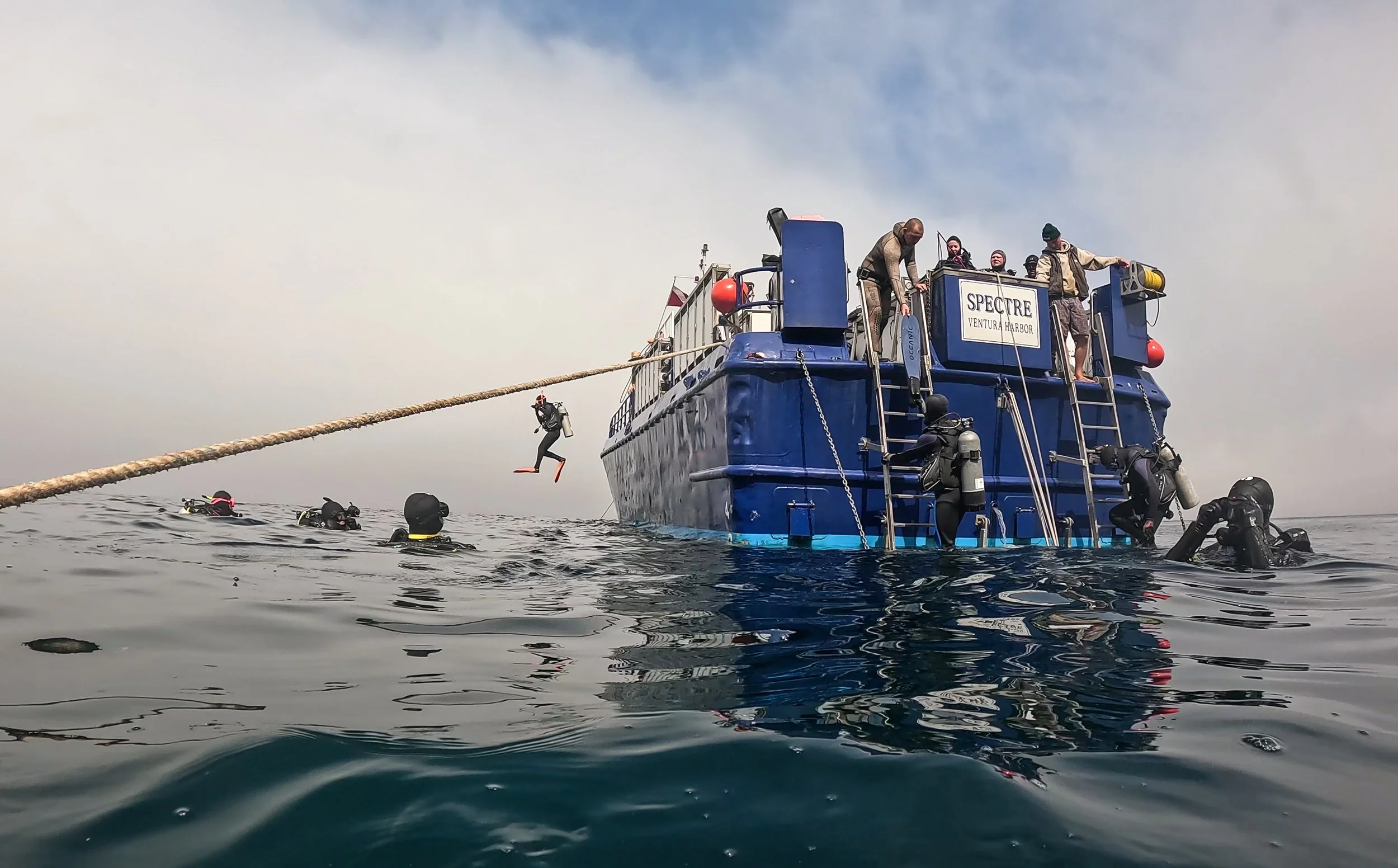 Photo by Jen Gregory