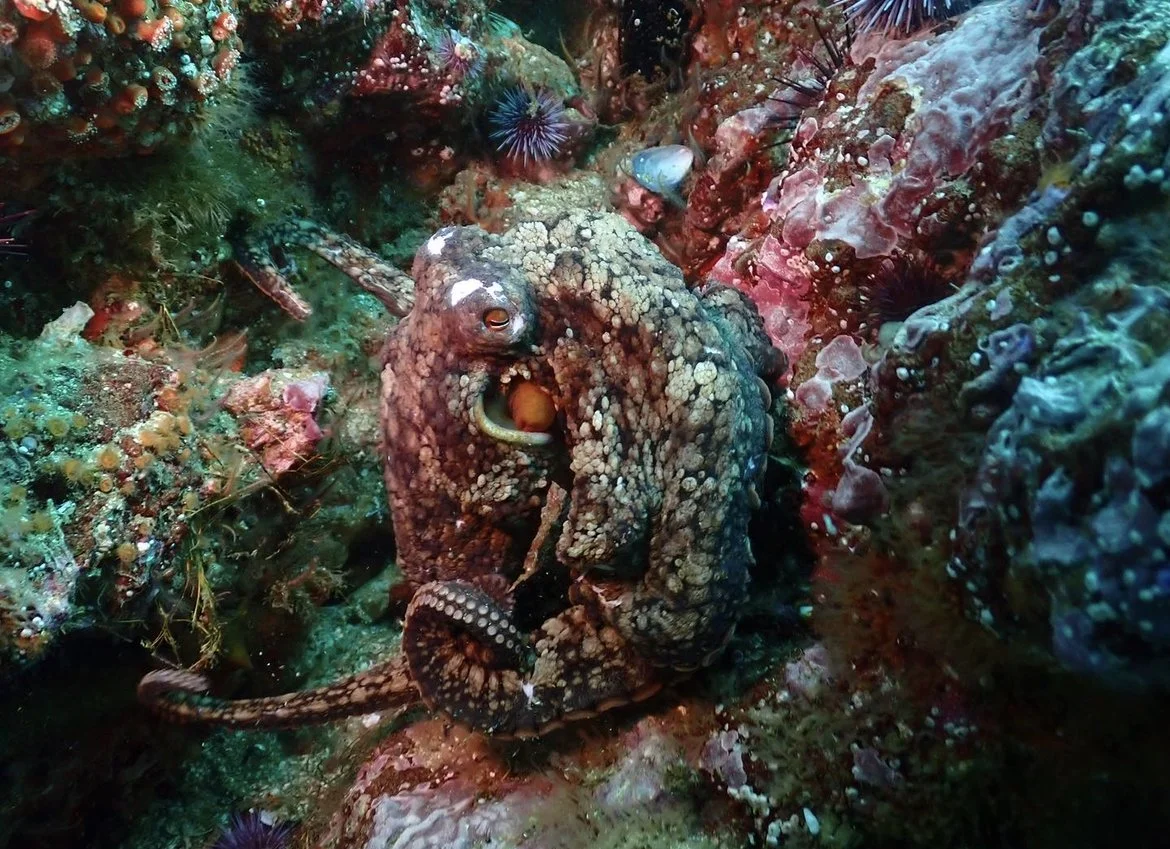 Photo by Courtney Tucker