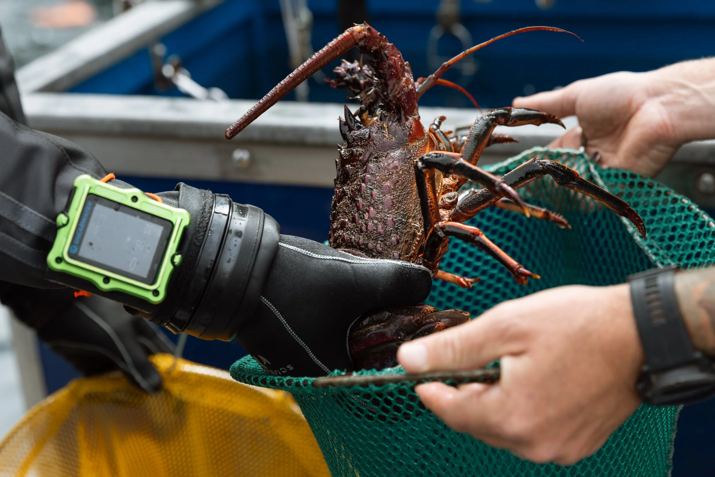 Photo by Jen Gregory