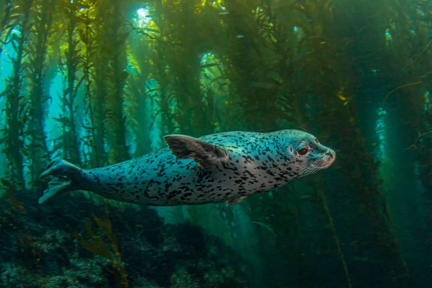 Photo by Douglas Klug