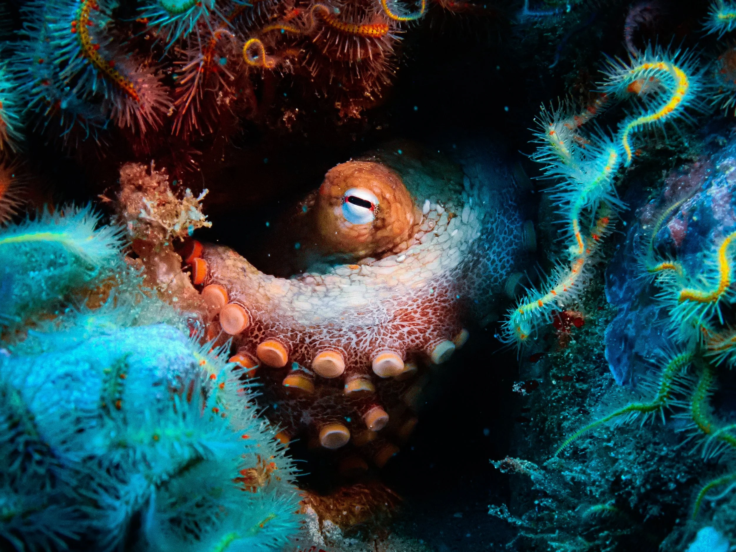 Photo by Courtney Tucker