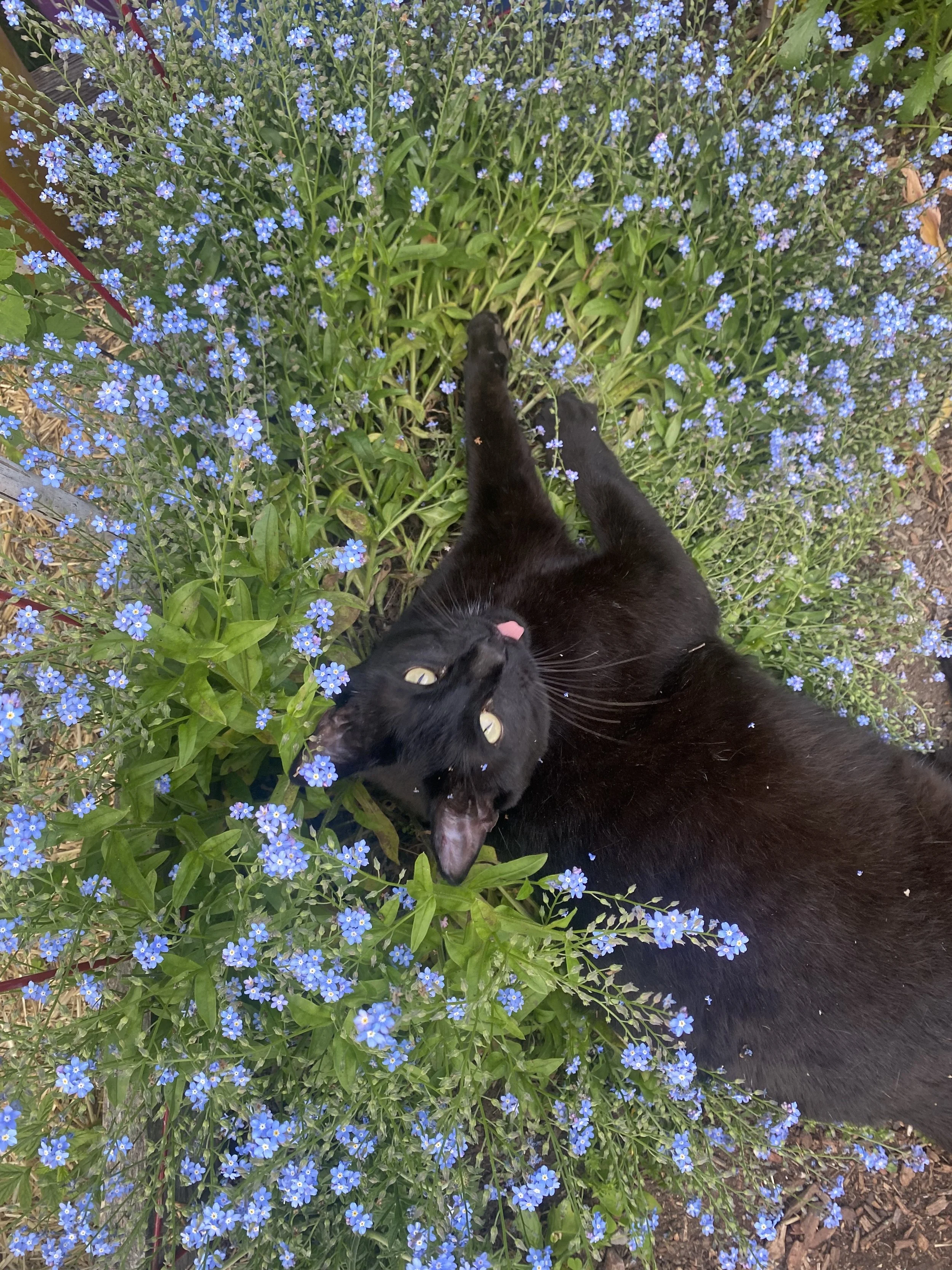 IMG_5440.jpeg