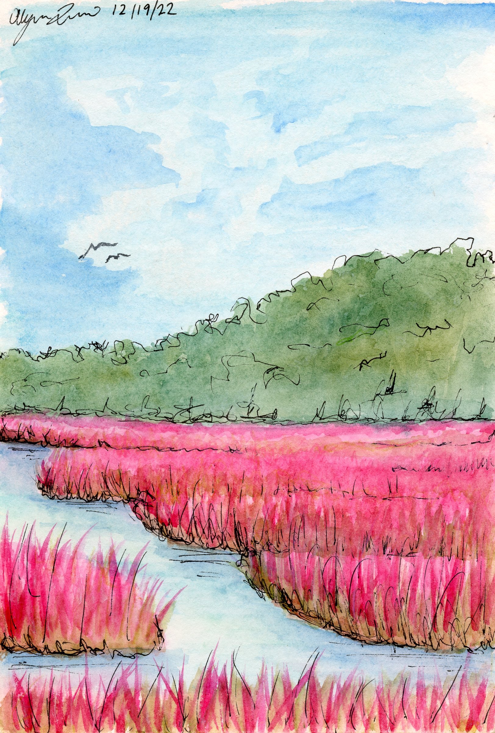 pink marsh001.jpg