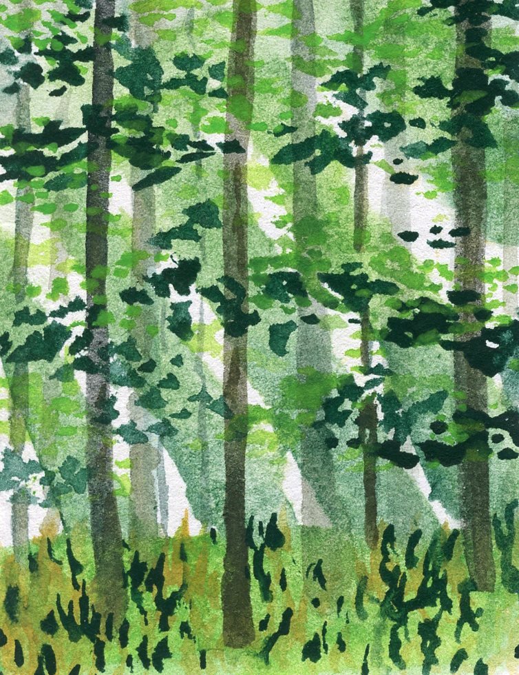 muddled light forest.jpg