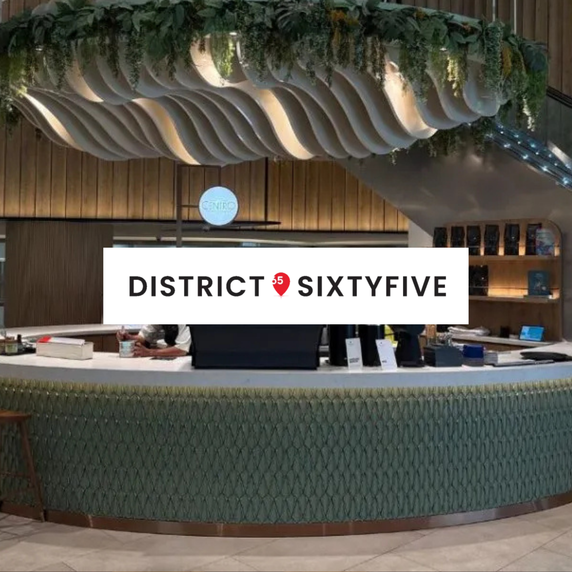 42 best cafes in Singapore for coffee, brunch, matcha – Updated 2026 - District Sixty Five, June 2026