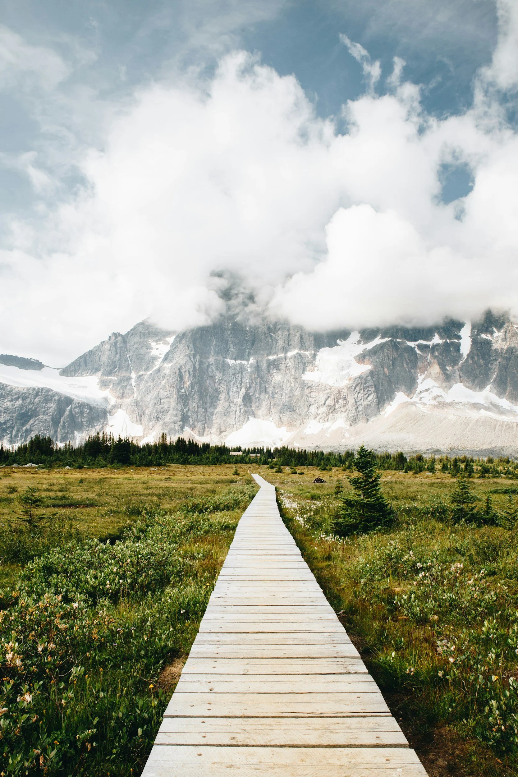A wooden pathway leading into a lush green field with mountains in the background, partially covered by clouds.