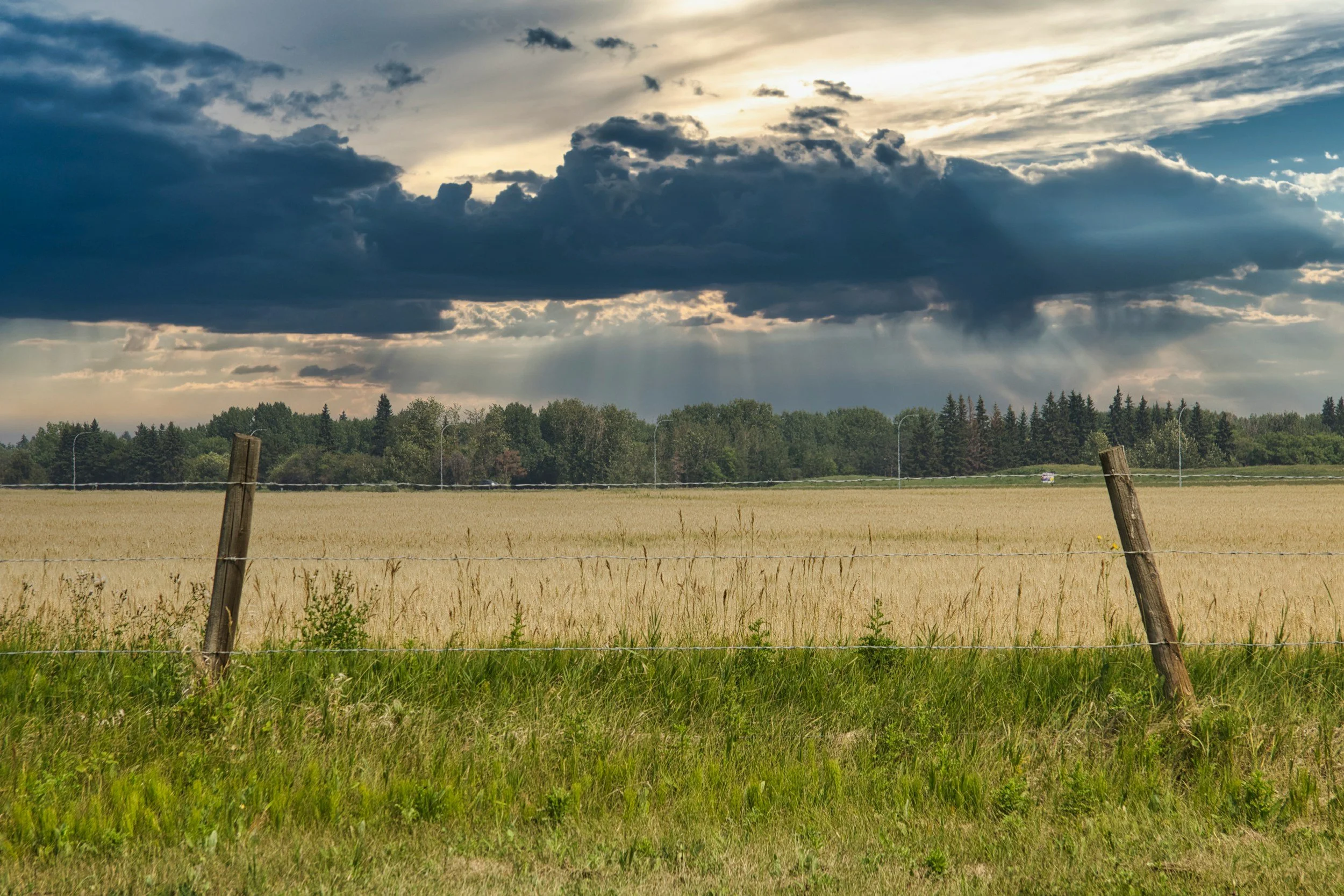 A rural landscape with a barbed wire fence in the foreground, a field of tall grasses, a line of trees in the distance, and a dark, cloudy sky overhead with sunlight breaking through the clouds.