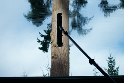 A chainsaw cutting into a tree trunk near a body of water.