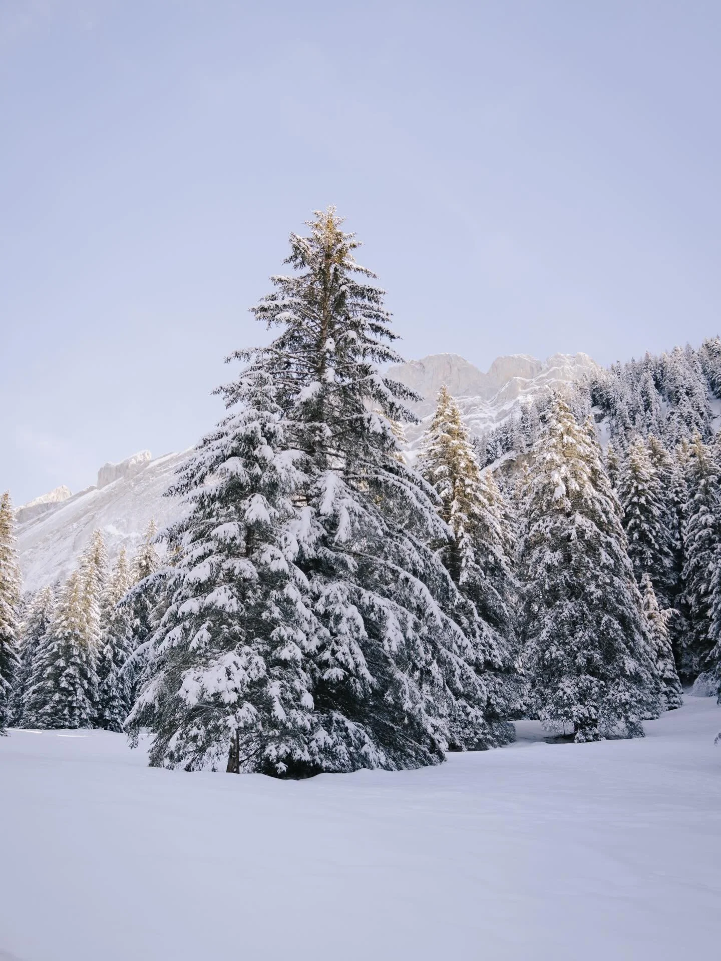 Winter is at its most beautiful right now &mdash; pristine snow, luminous alpine light, and magical landscapes as far as the eye can see. Planning your escape to Villars? I&rsquo;d be delighted to capture your story. DM for details ❄️

#villars #vill