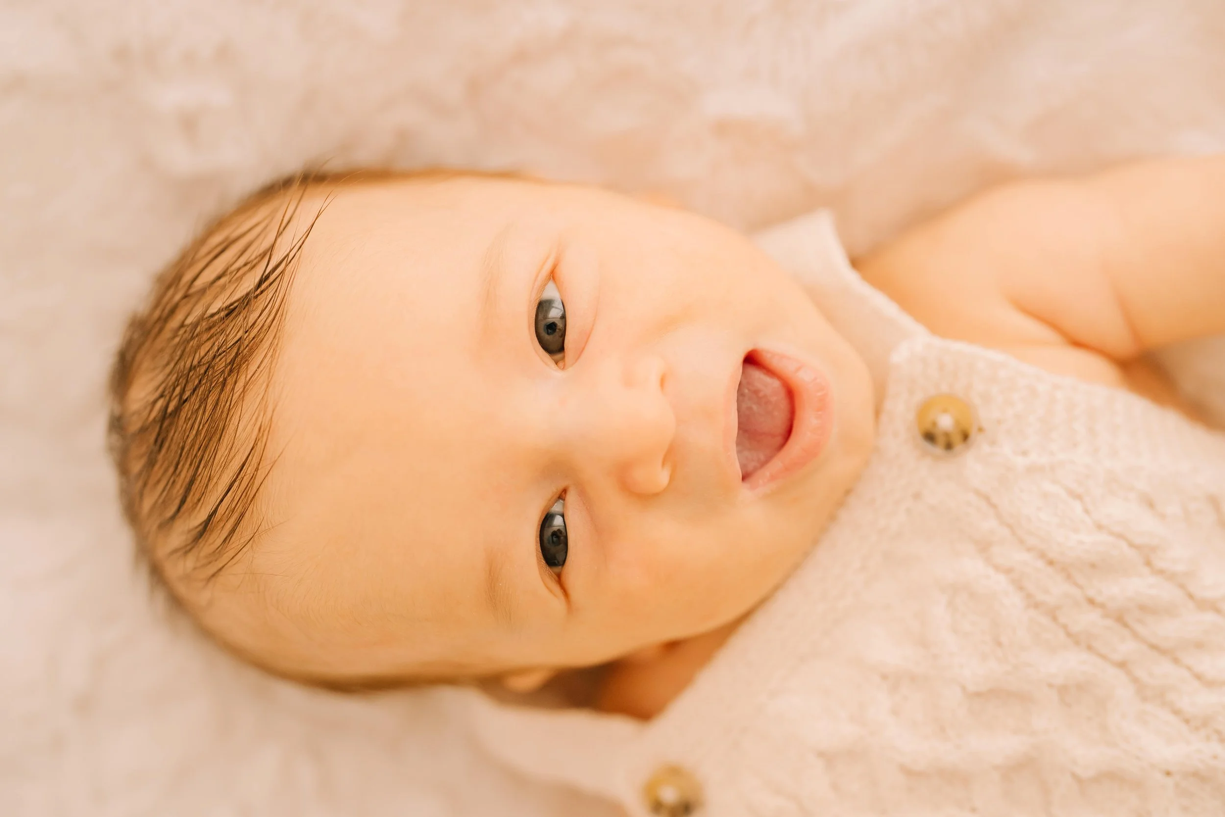 2024-01-19 Remy, 7 weeks- Lens and Sensibility Family Photographer 1-min.jpg