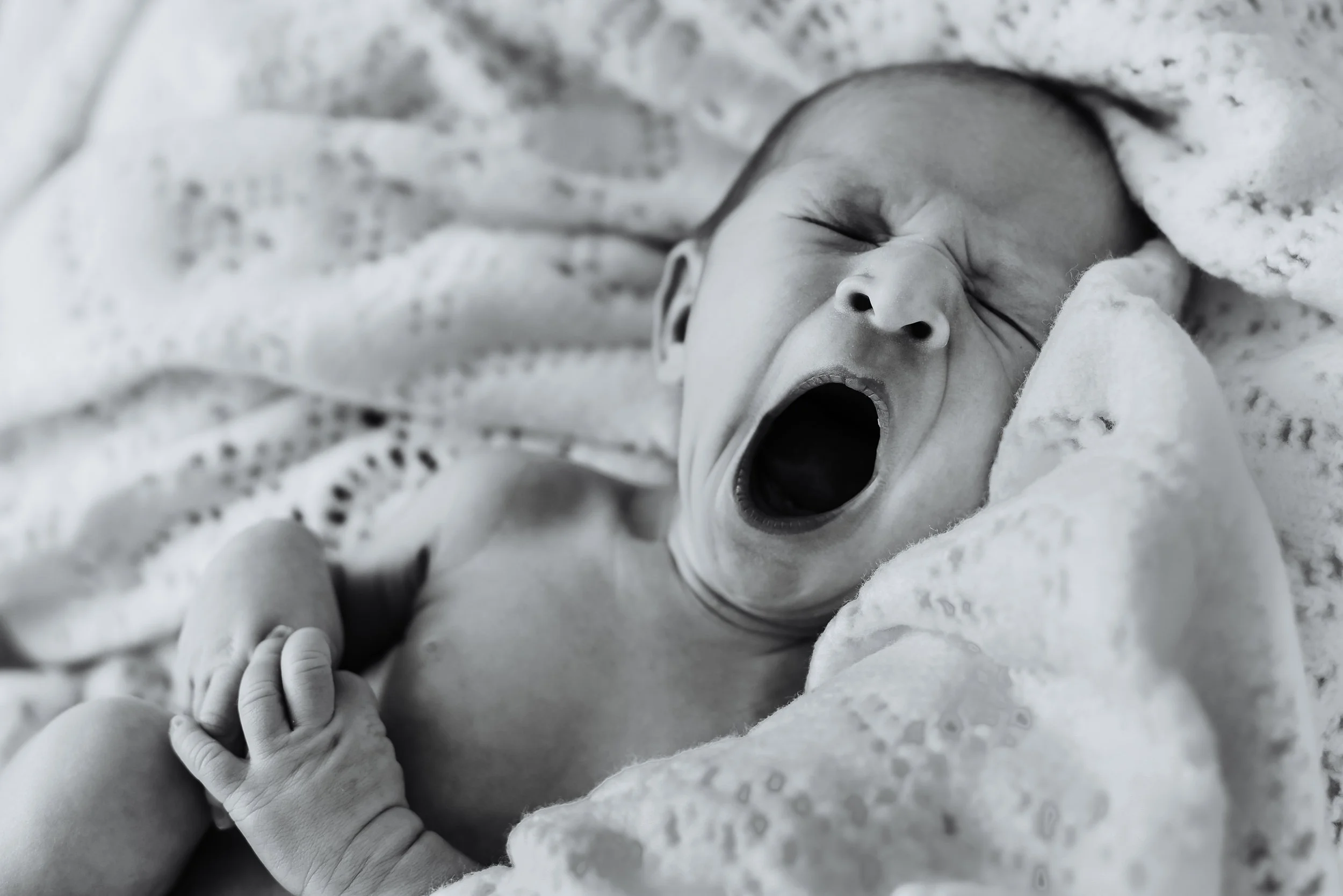 0309201601Geneva Family Photographer and Blogger website-2.jpg