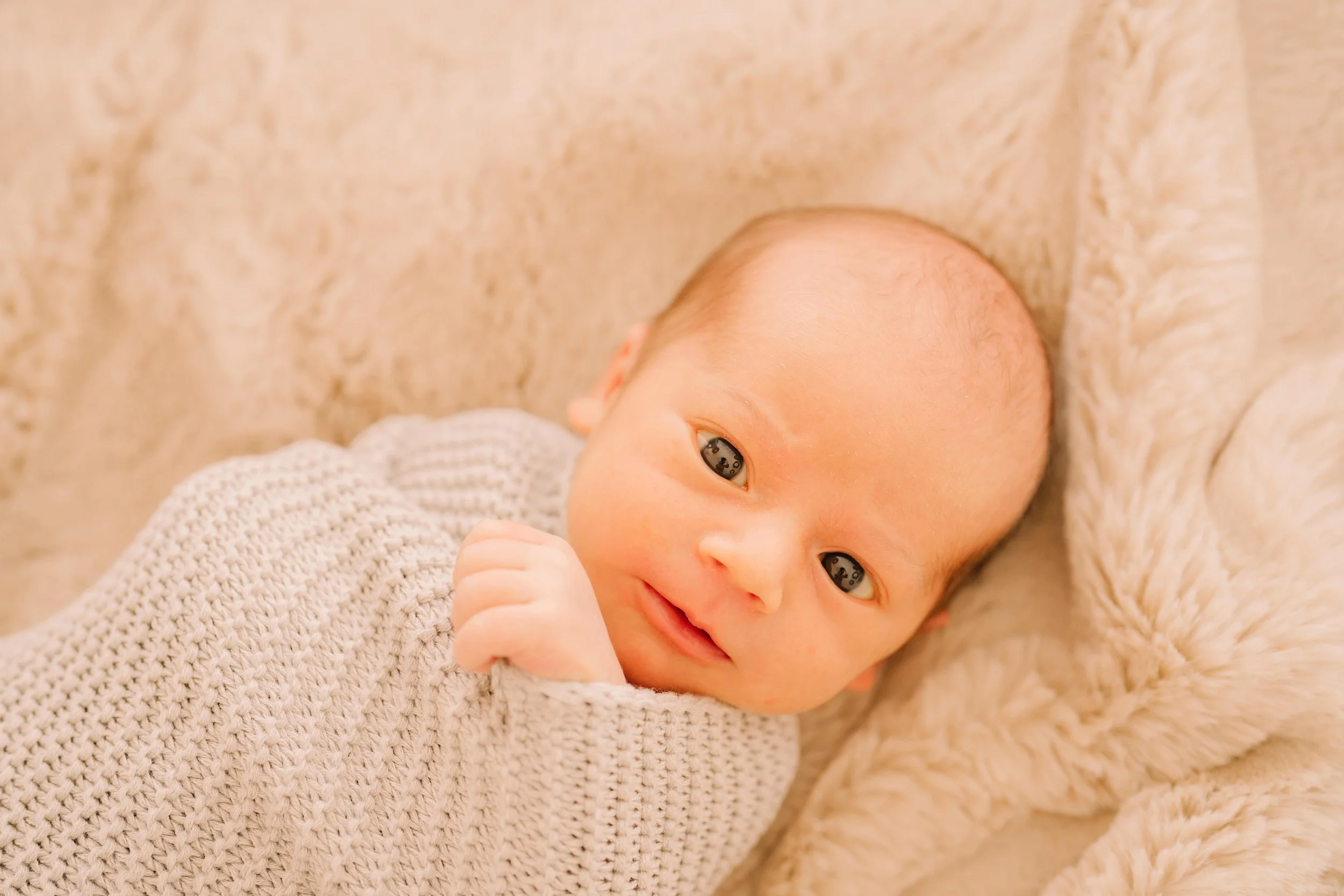 2023-11-03 Noah Newborn session- Lens and Sensibility Family Photographer 1-3-min.jpg