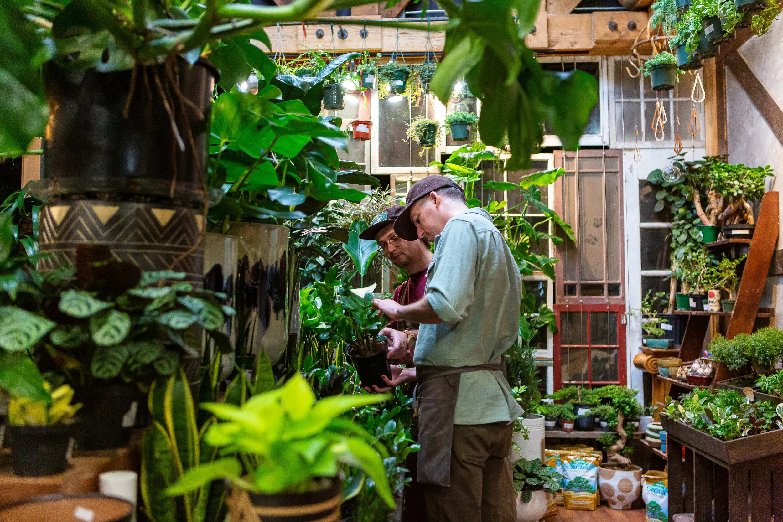 Two men stand and inspect a plant inside a plant store surrounded by lush green houseplants.
