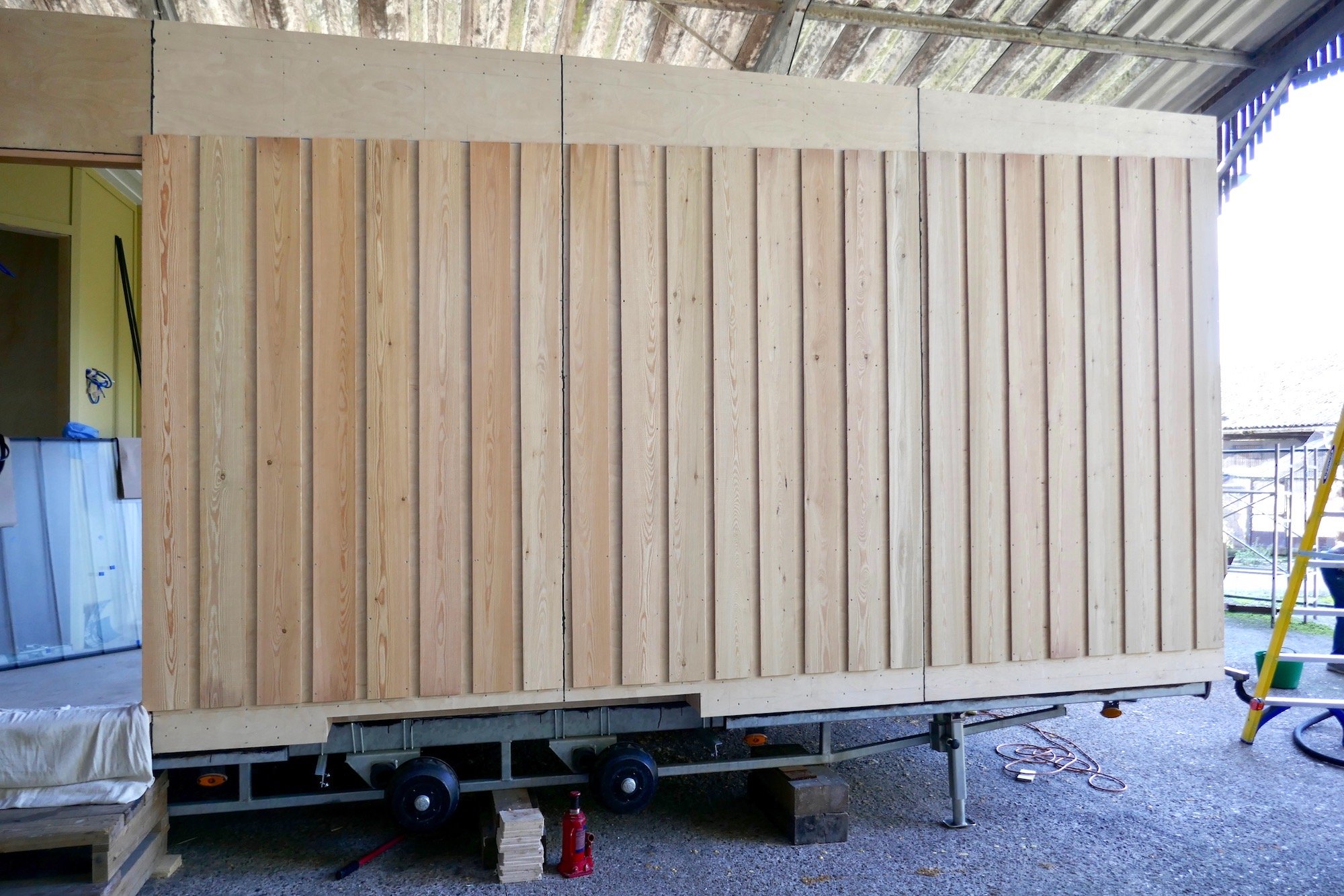 Larch 2.jpg