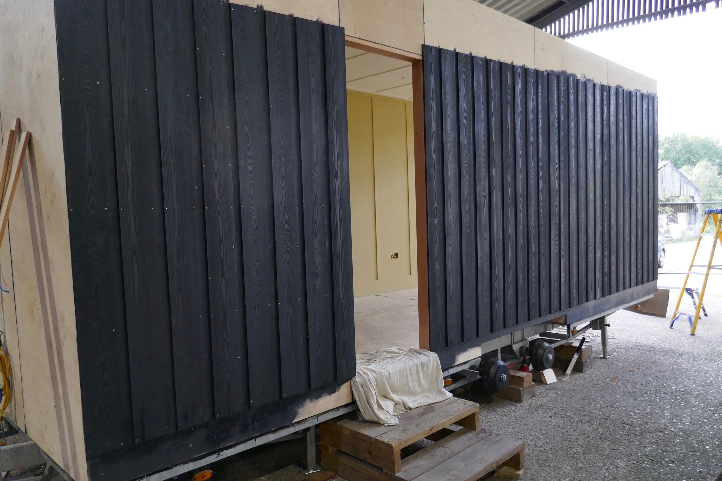 Larch Black 2.jpg