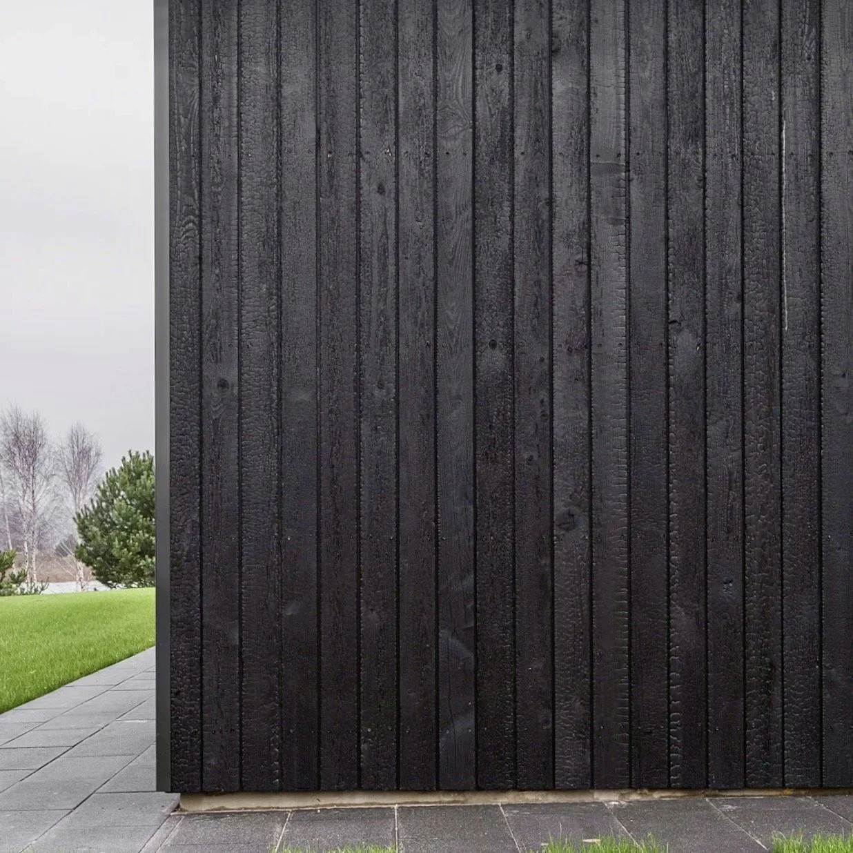 Charred Larch.jpeg