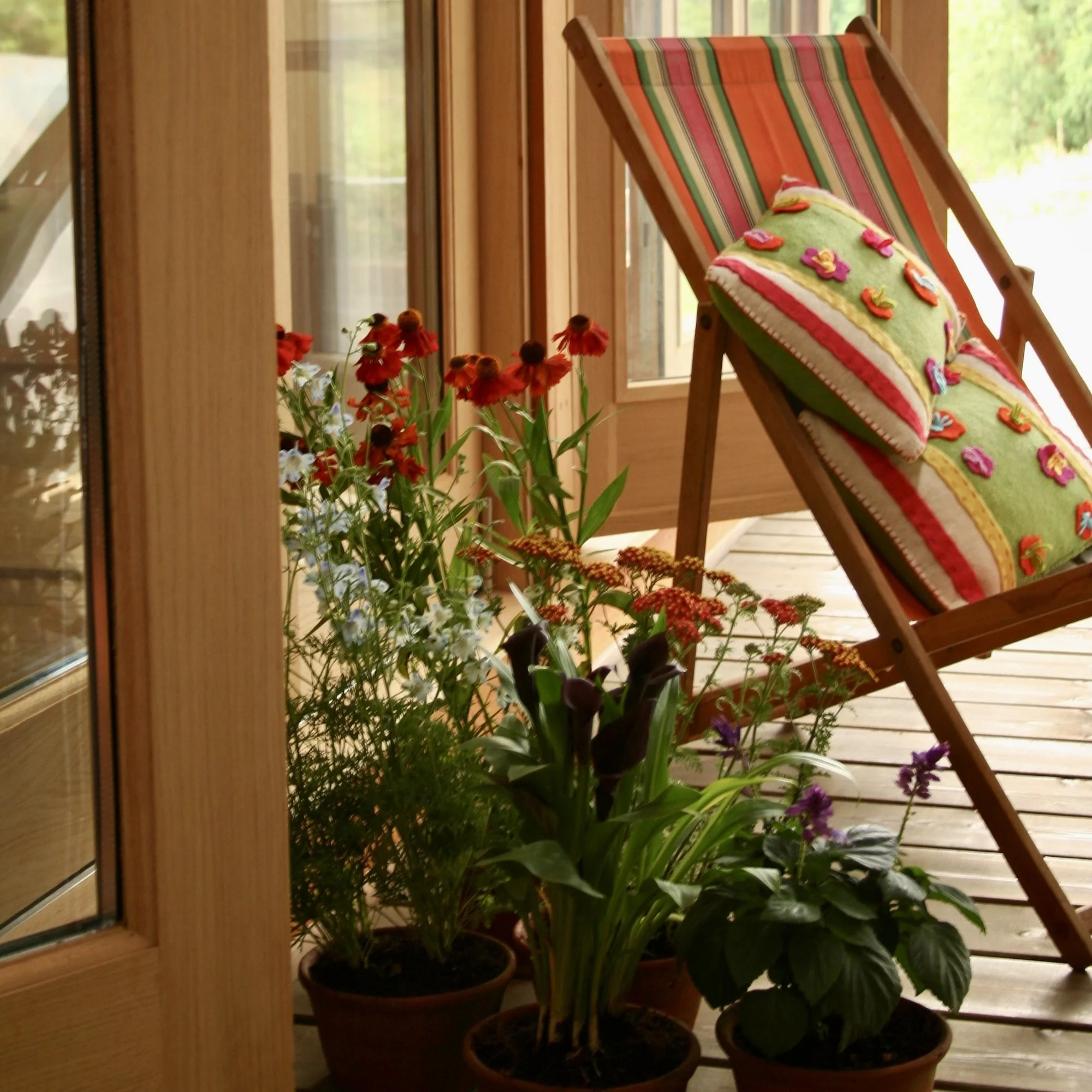 Out on the Deck.jpg