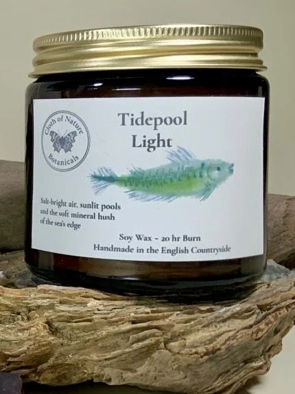 Tidepool Candle 120gms.jpg