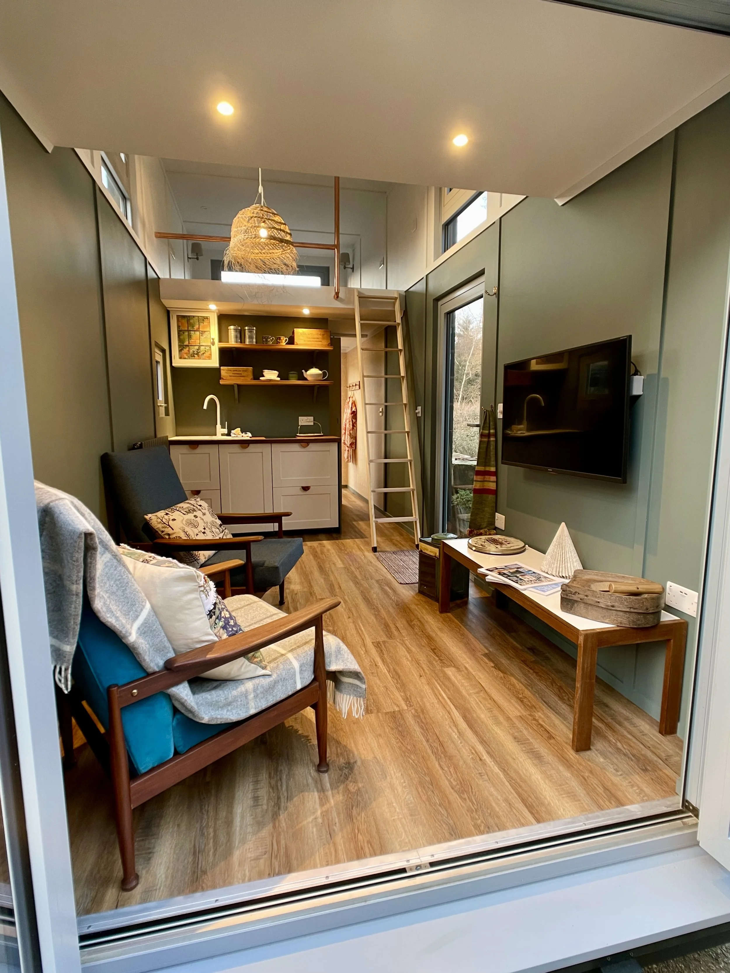 Tiny Cabin Living space.jpeg